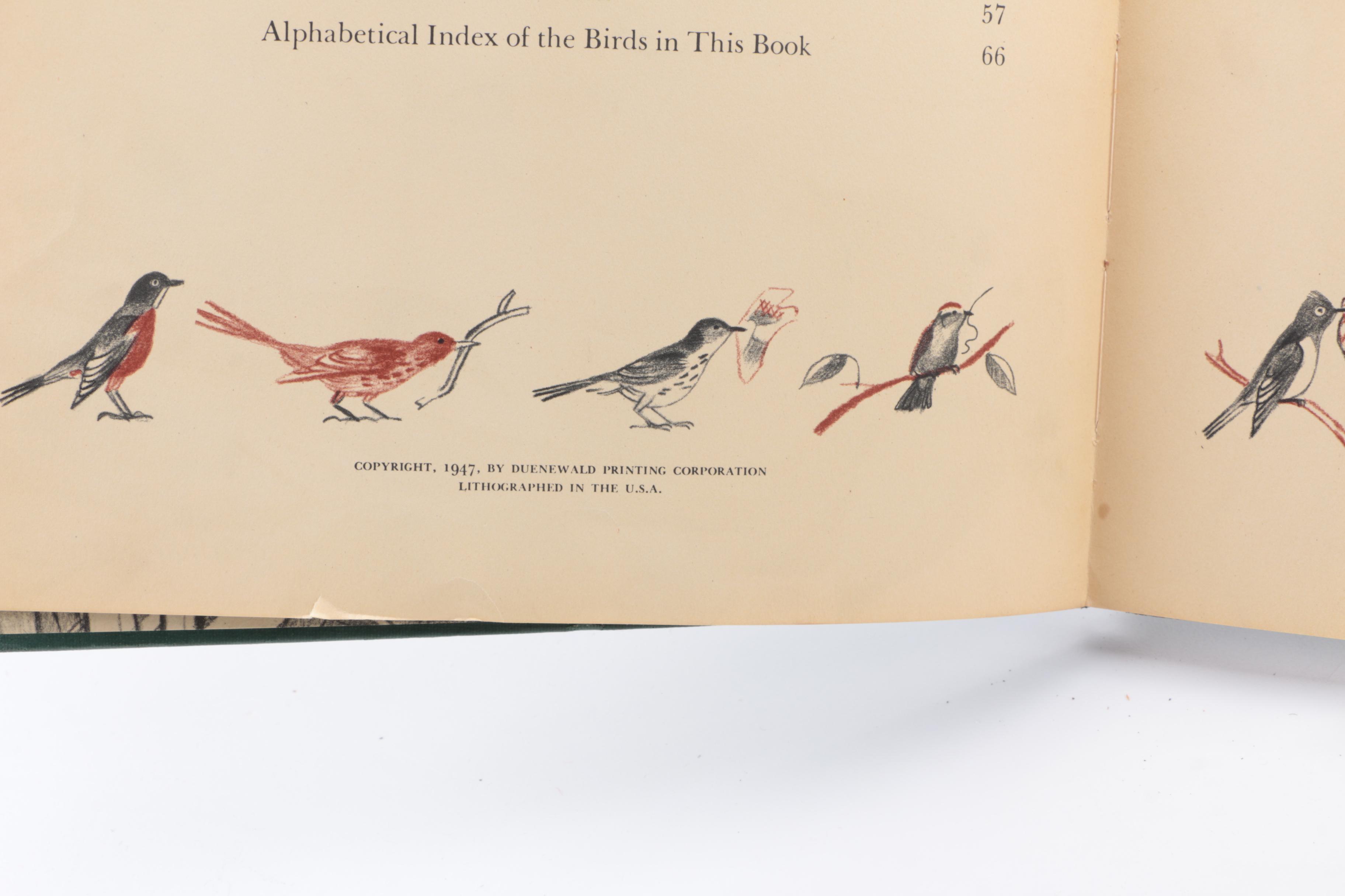 Collection of Books on Birds Including John James Audubon