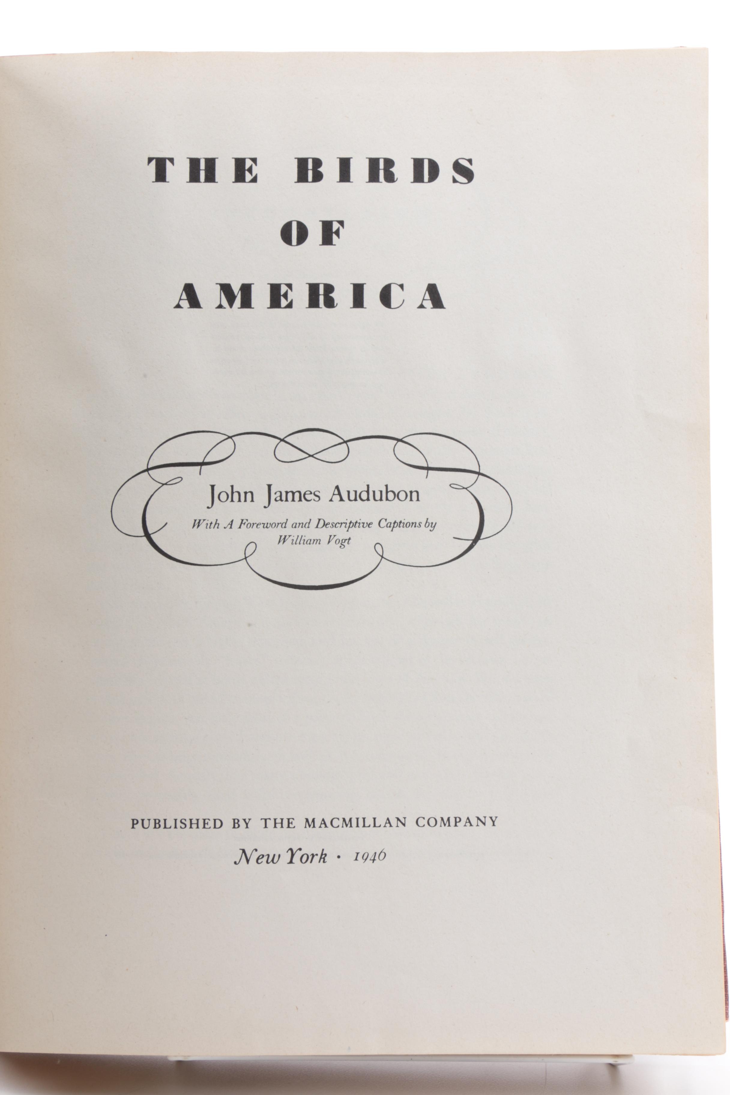 Collection of Books on Birds Including John James Audubon