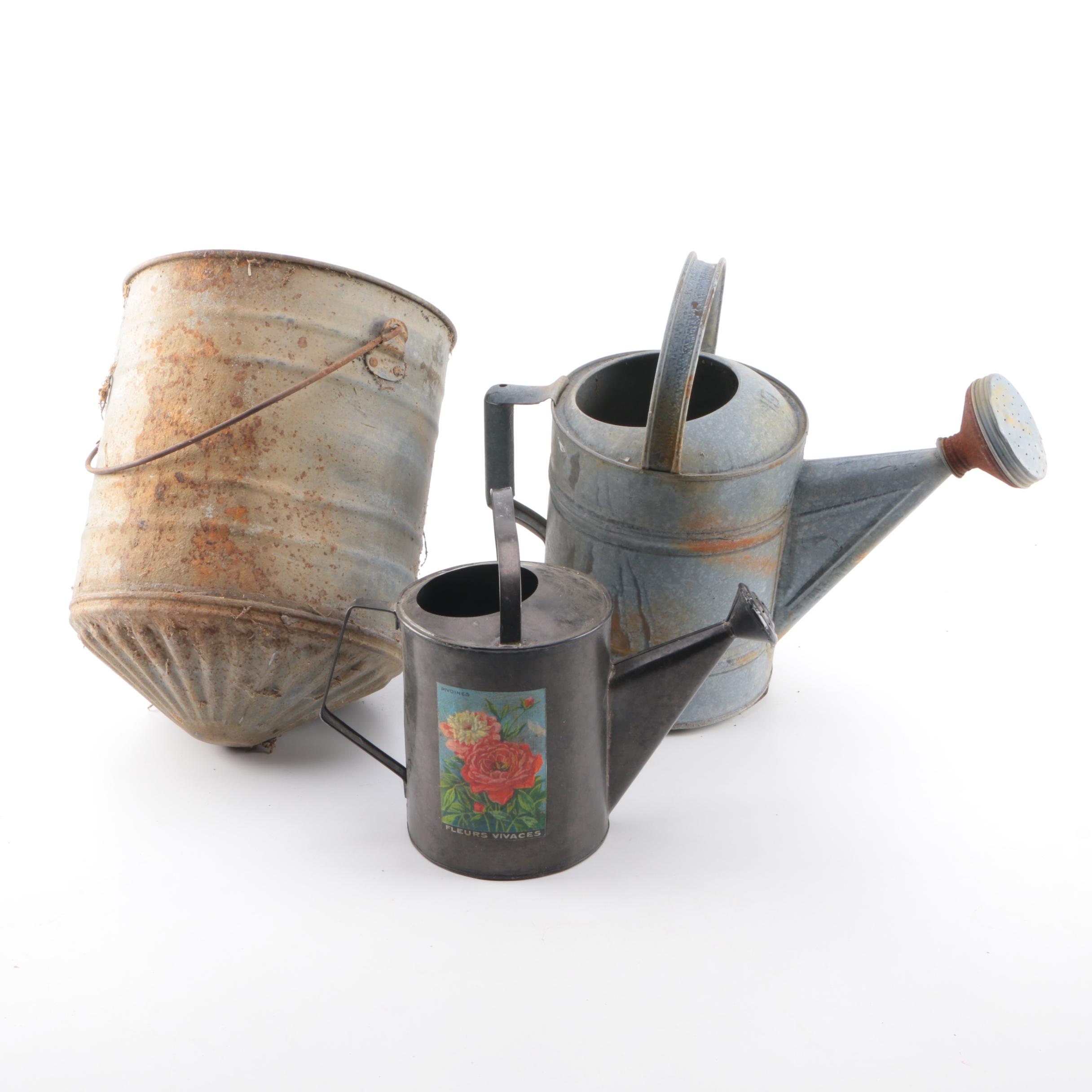 Collection of Watering Pails