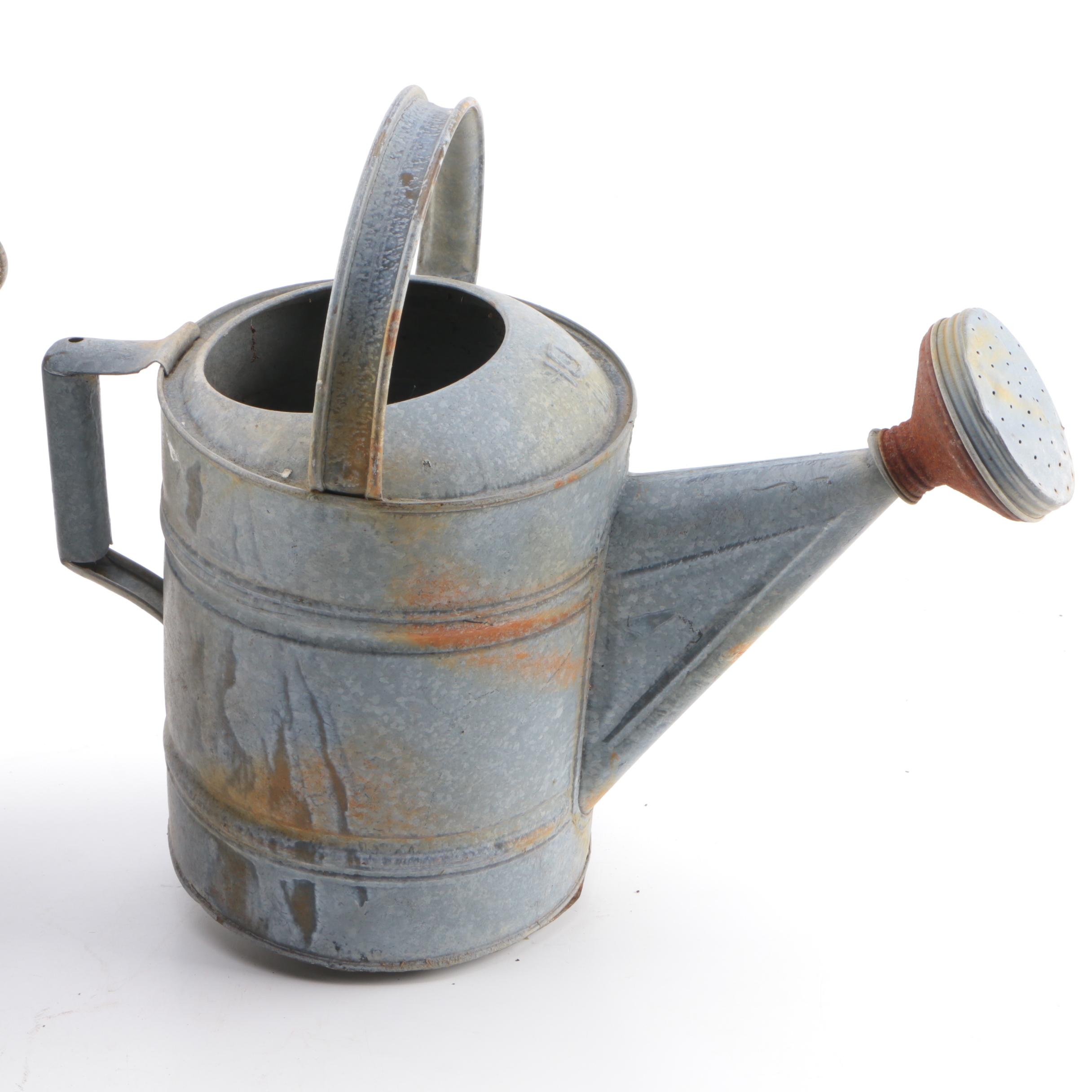 Collection of Watering Pails