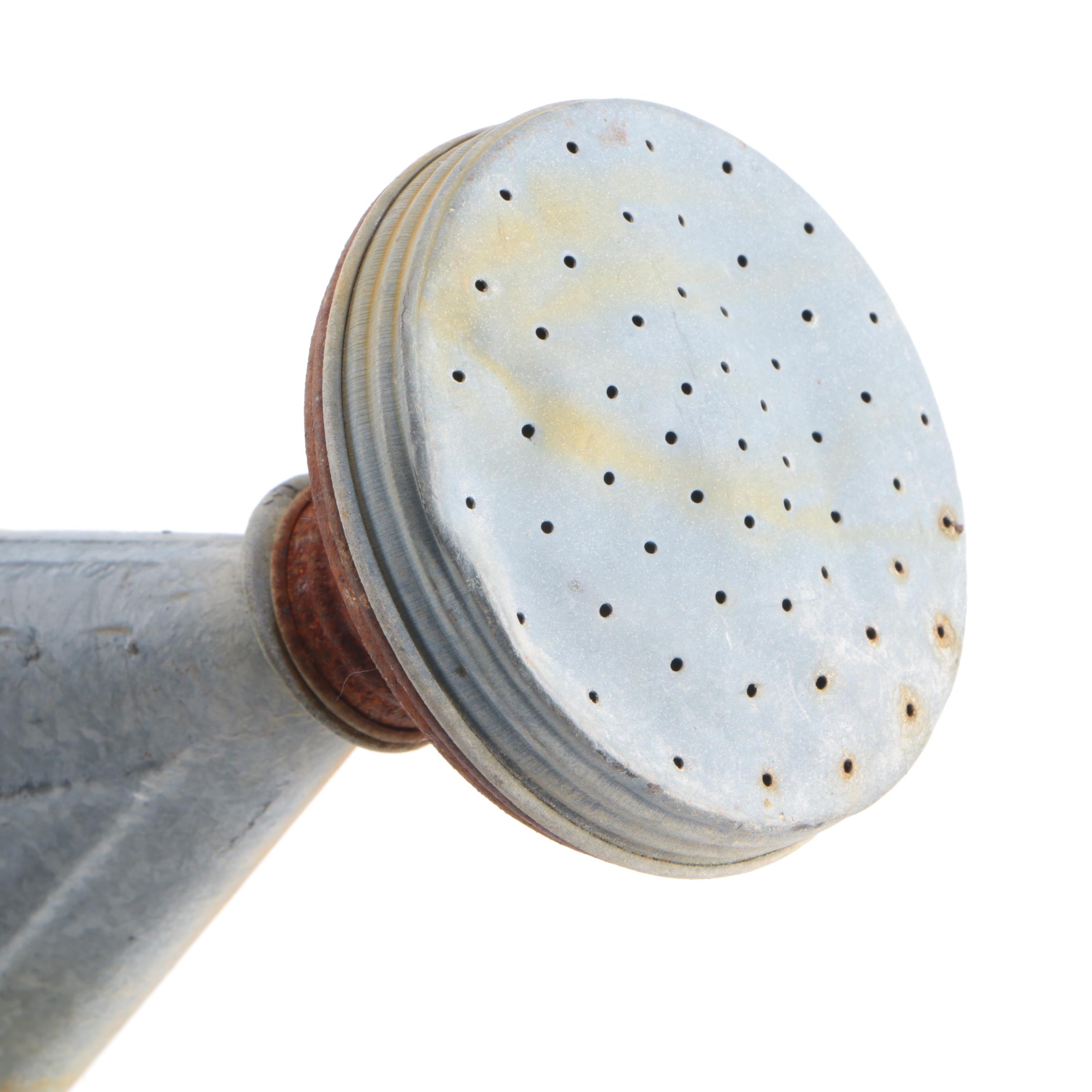 Collection of Watering Pails