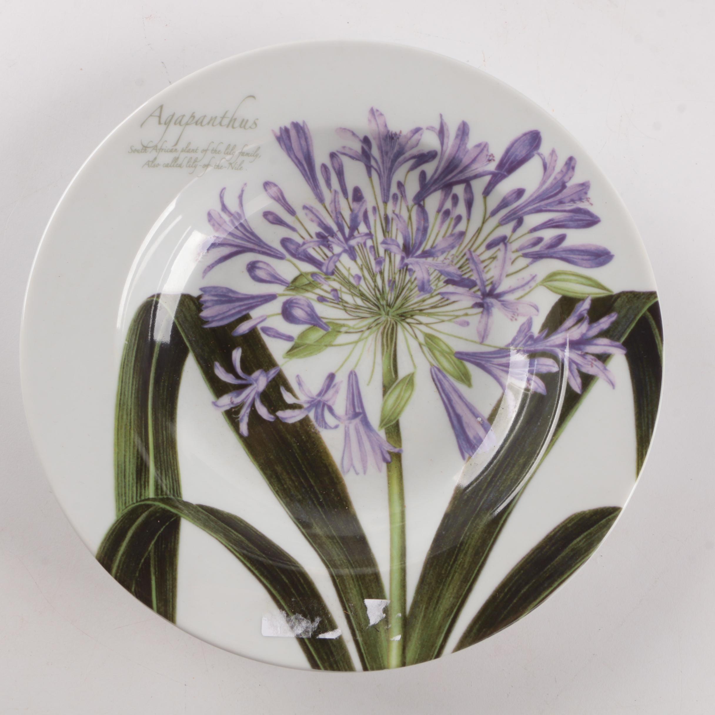 Assortment of Plates