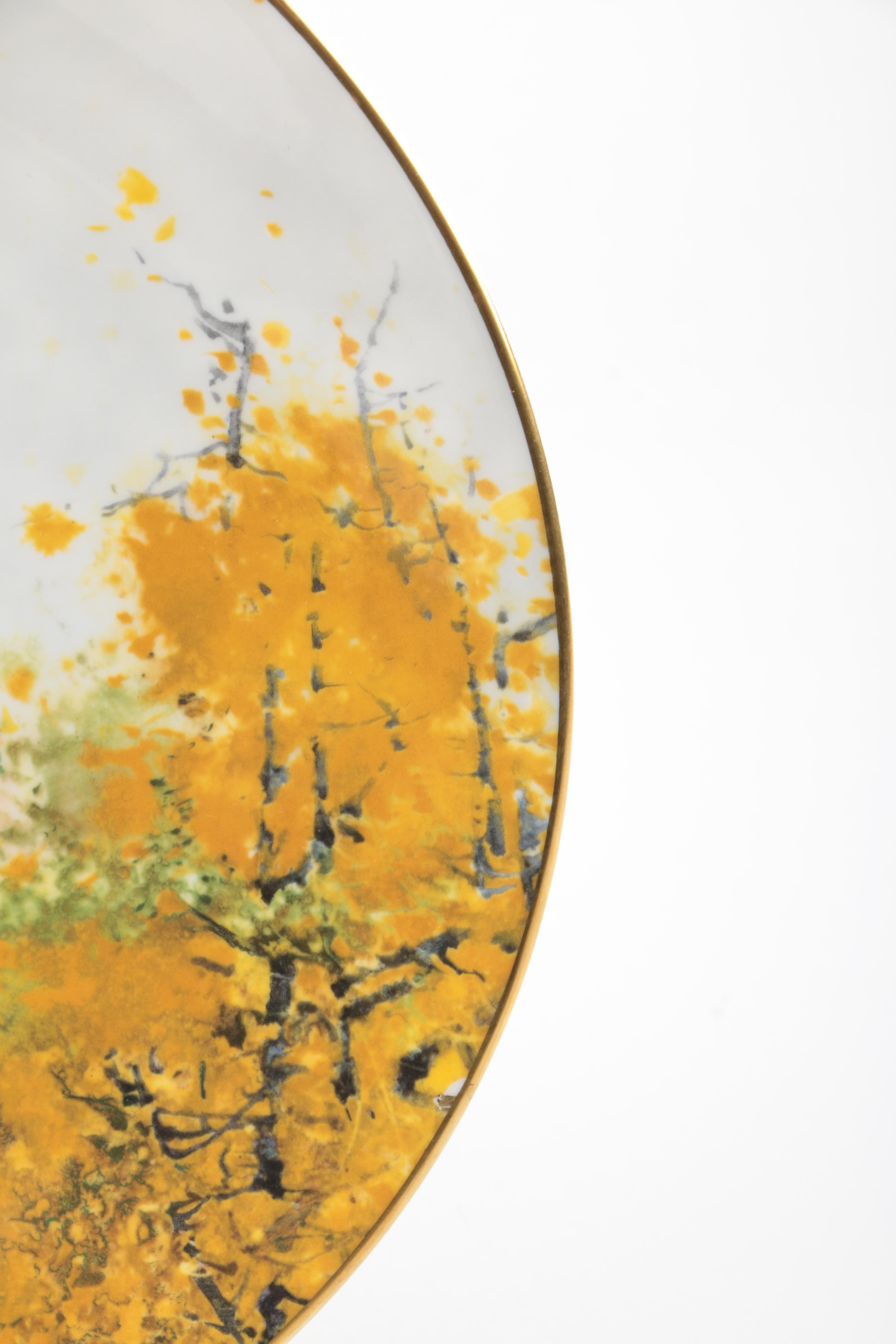 Decorative Porcelain Plates Including Bradex