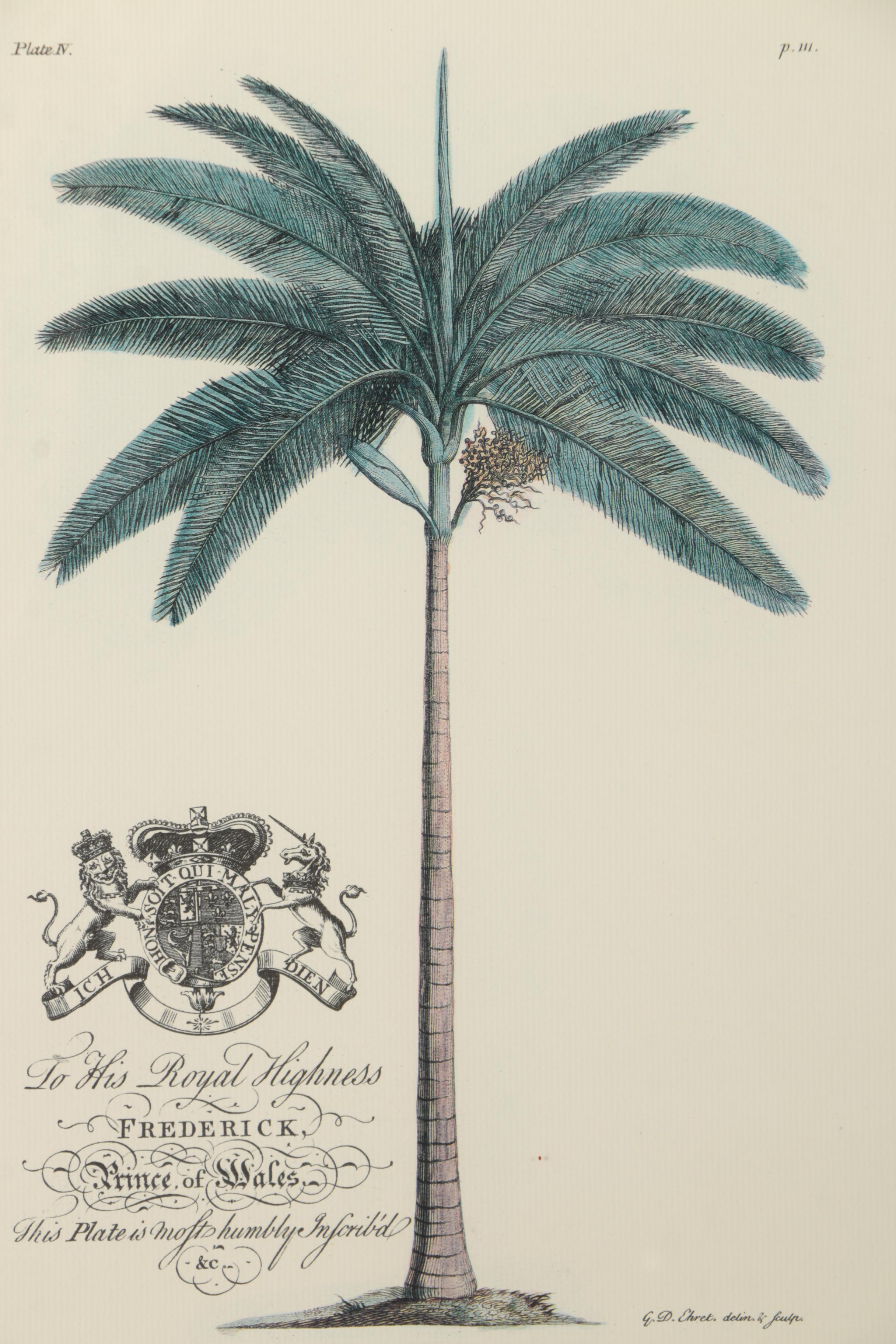 Two Offset Lithographs of Palm Trees