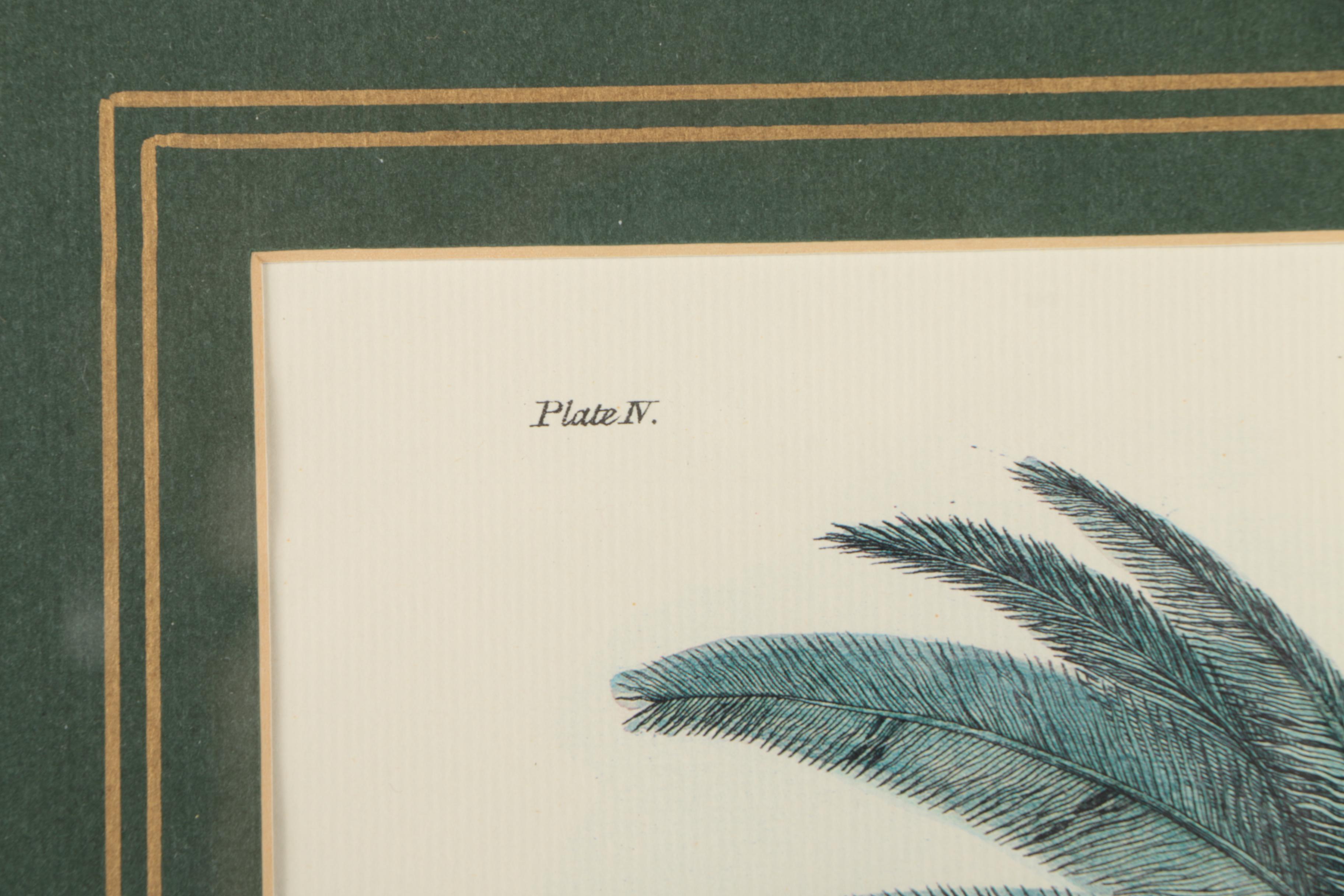 Two Offset Lithographs of Palm Trees