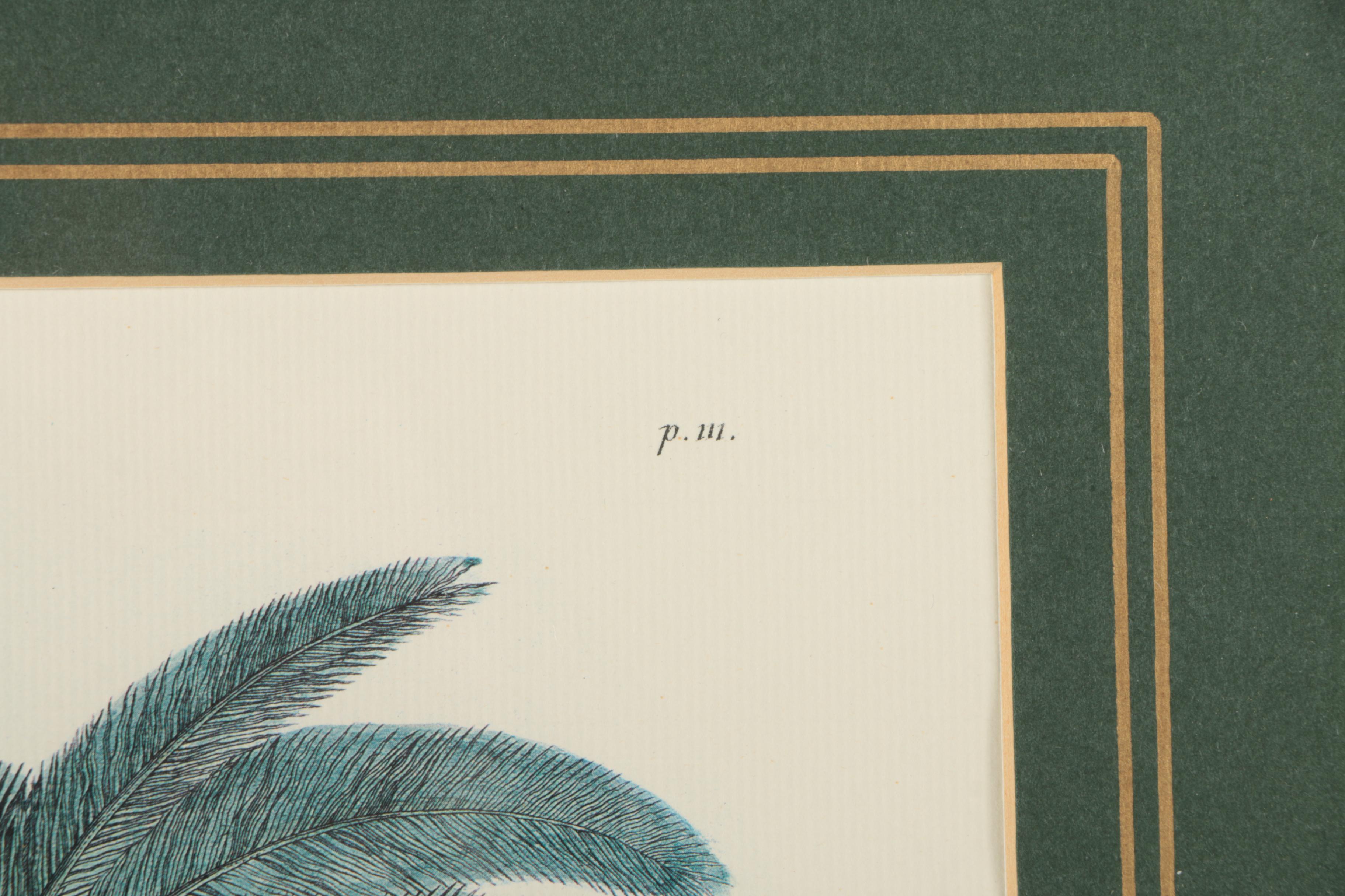 Two Offset Lithographs of Palm Trees