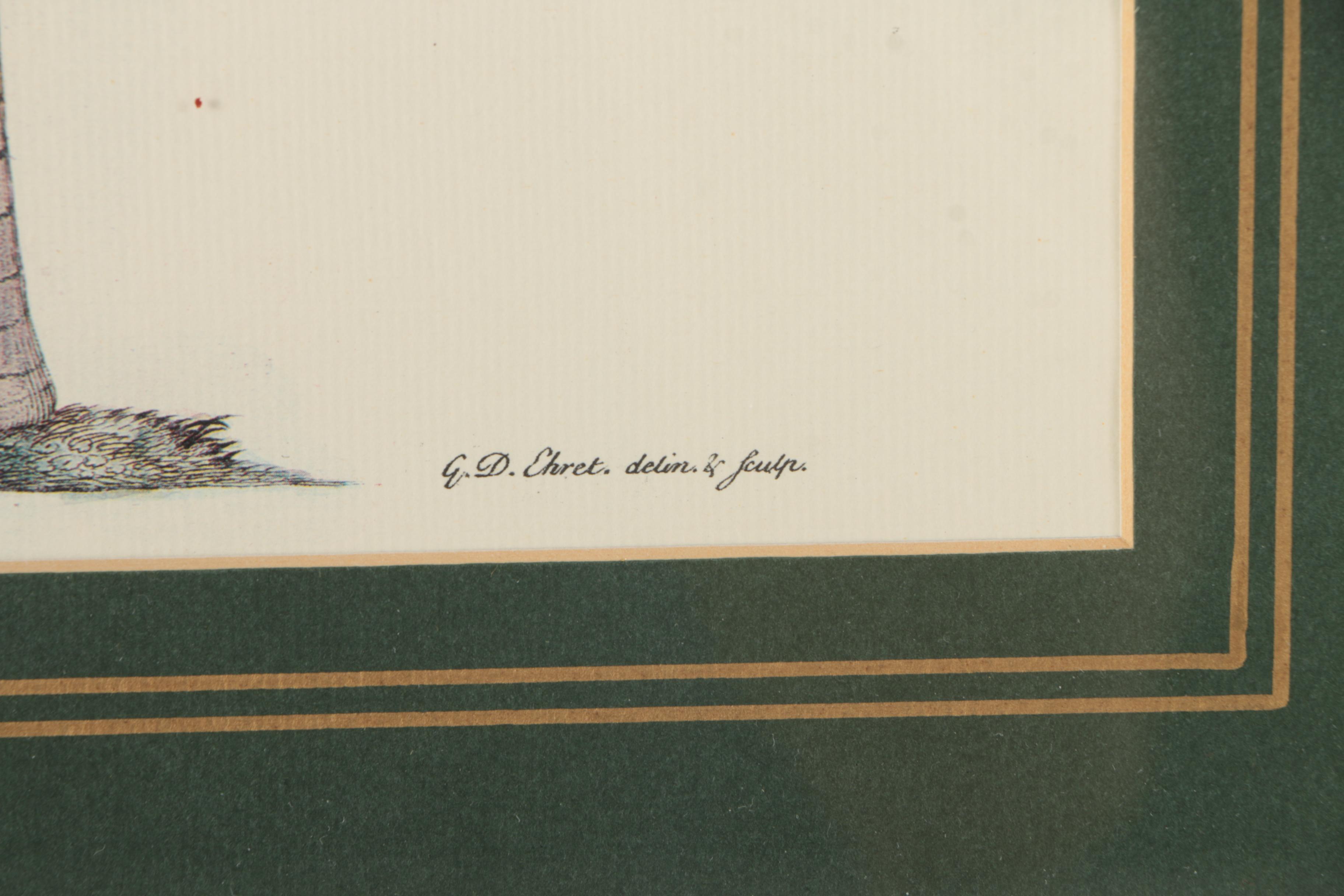 Two Offset Lithographs of Palm Trees