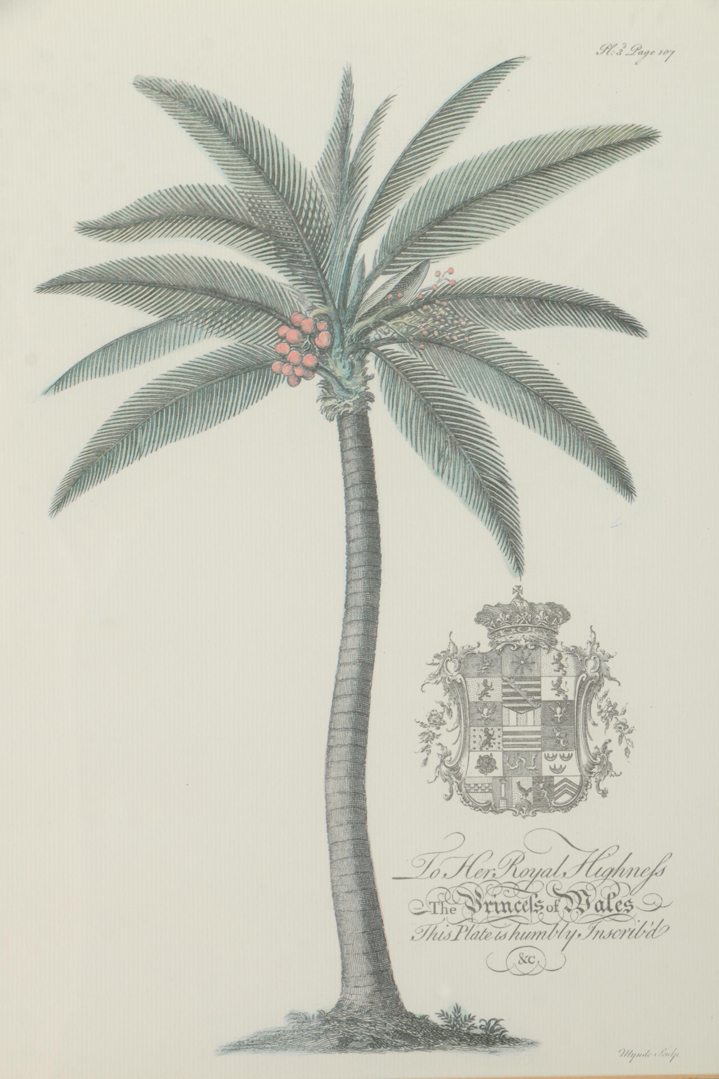 Two Offset Lithographs of Palm Trees