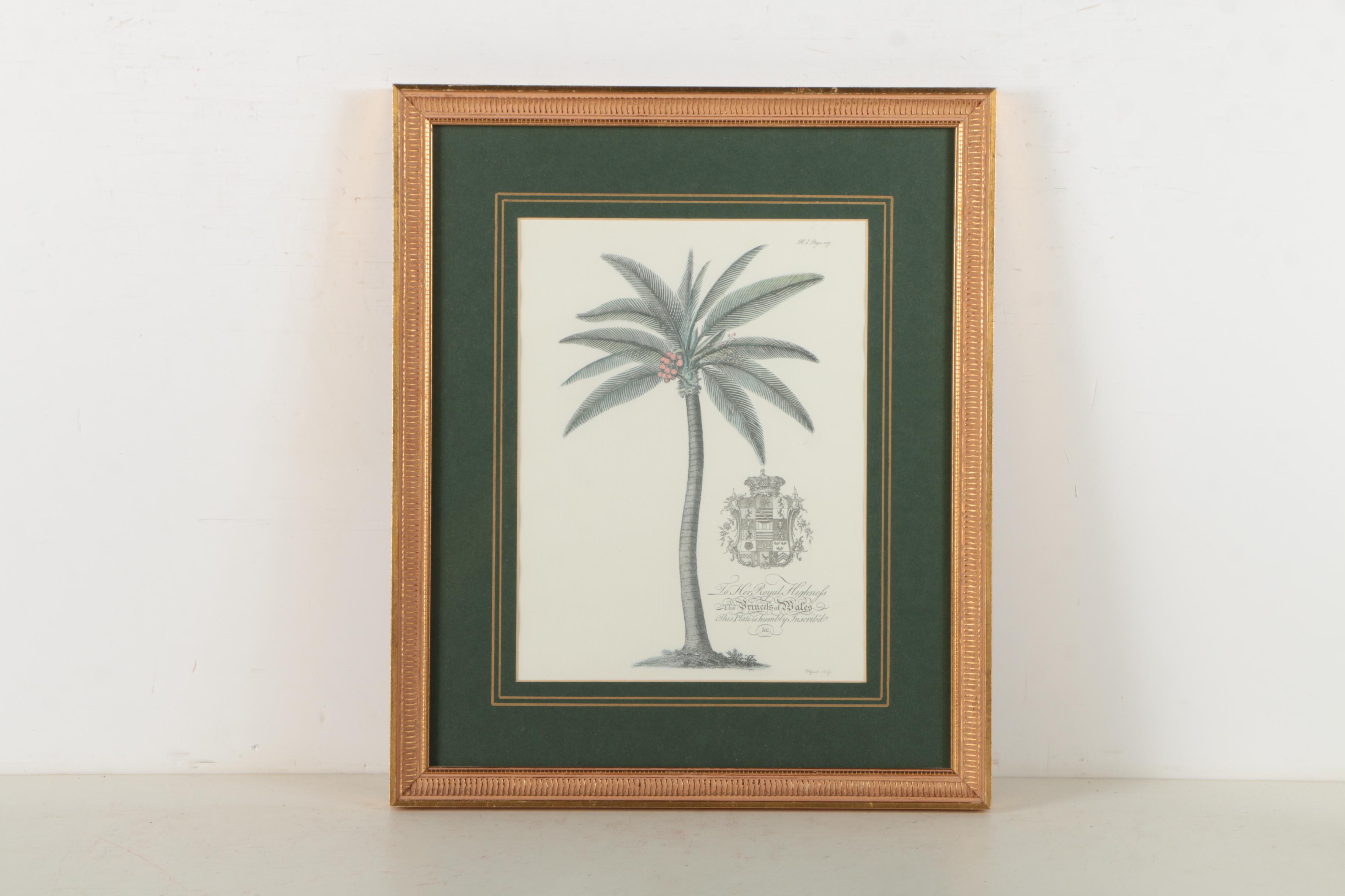 Two Offset Lithographs of Palm Trees