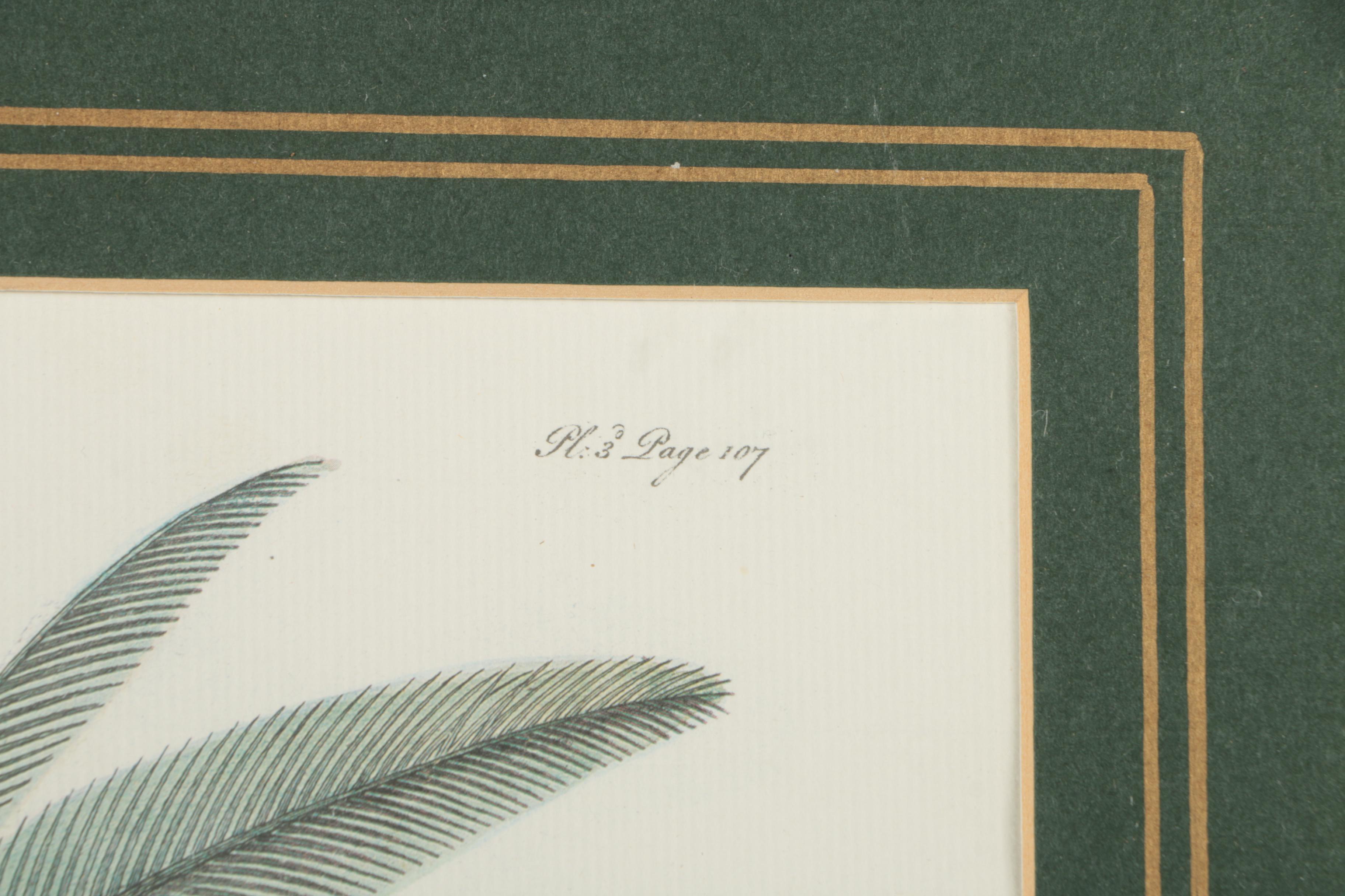 Two Offset Lithographs of Palm Trees