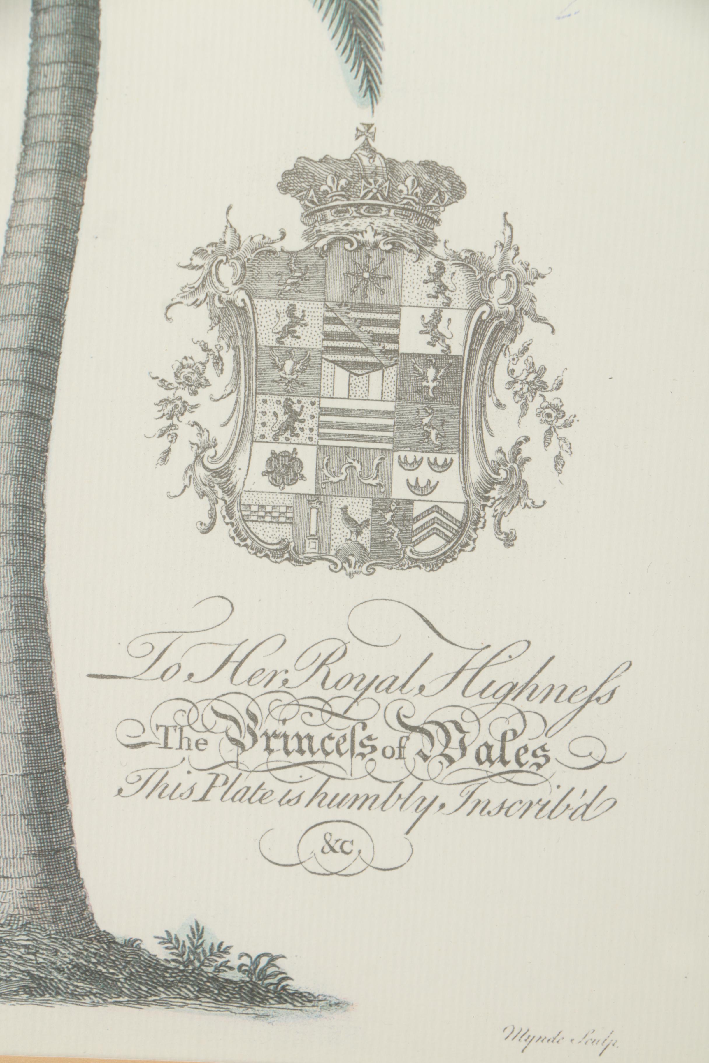 Two Offset Lithographs of Palm Trees
