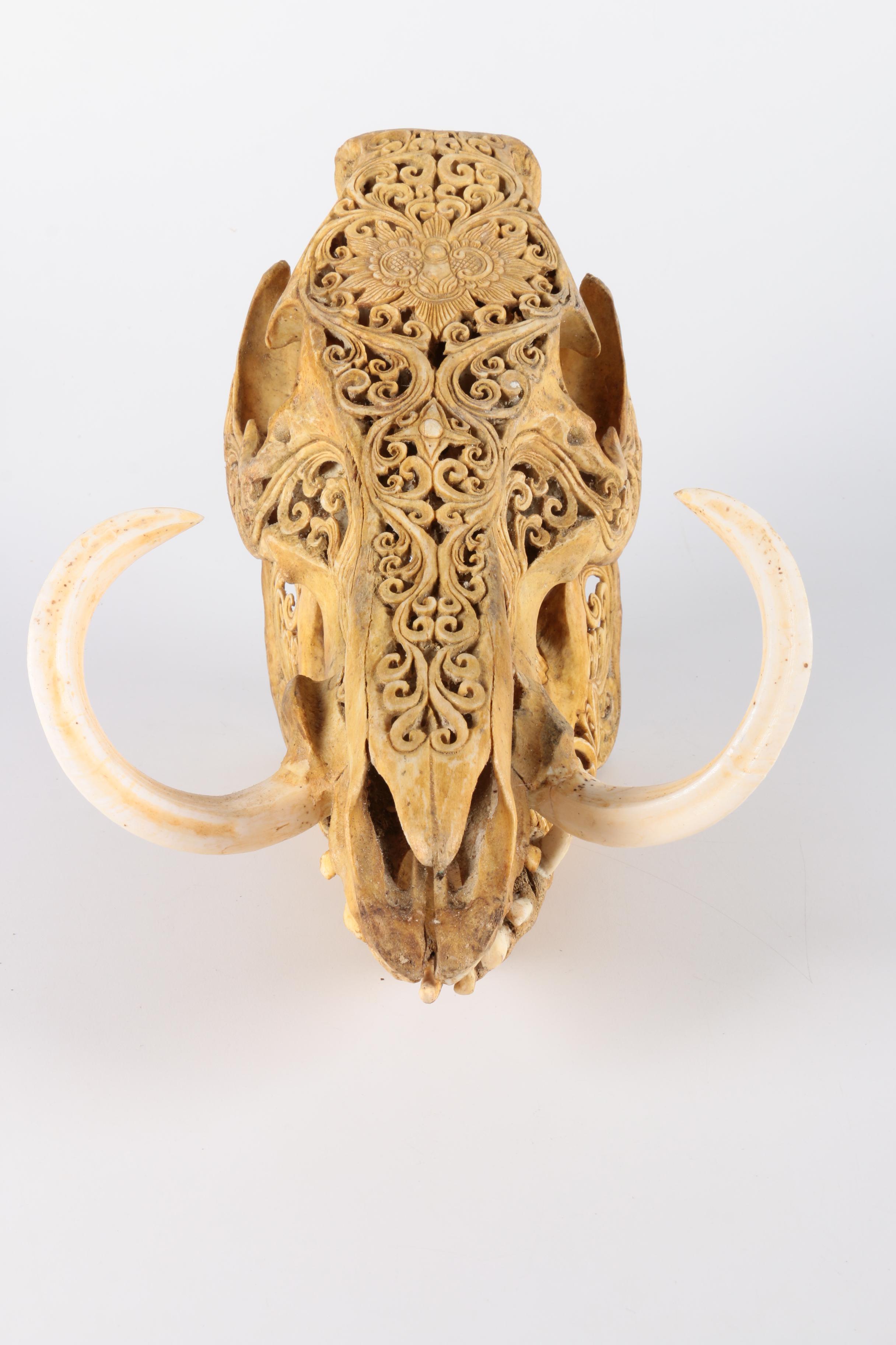 Carved Hog Skull