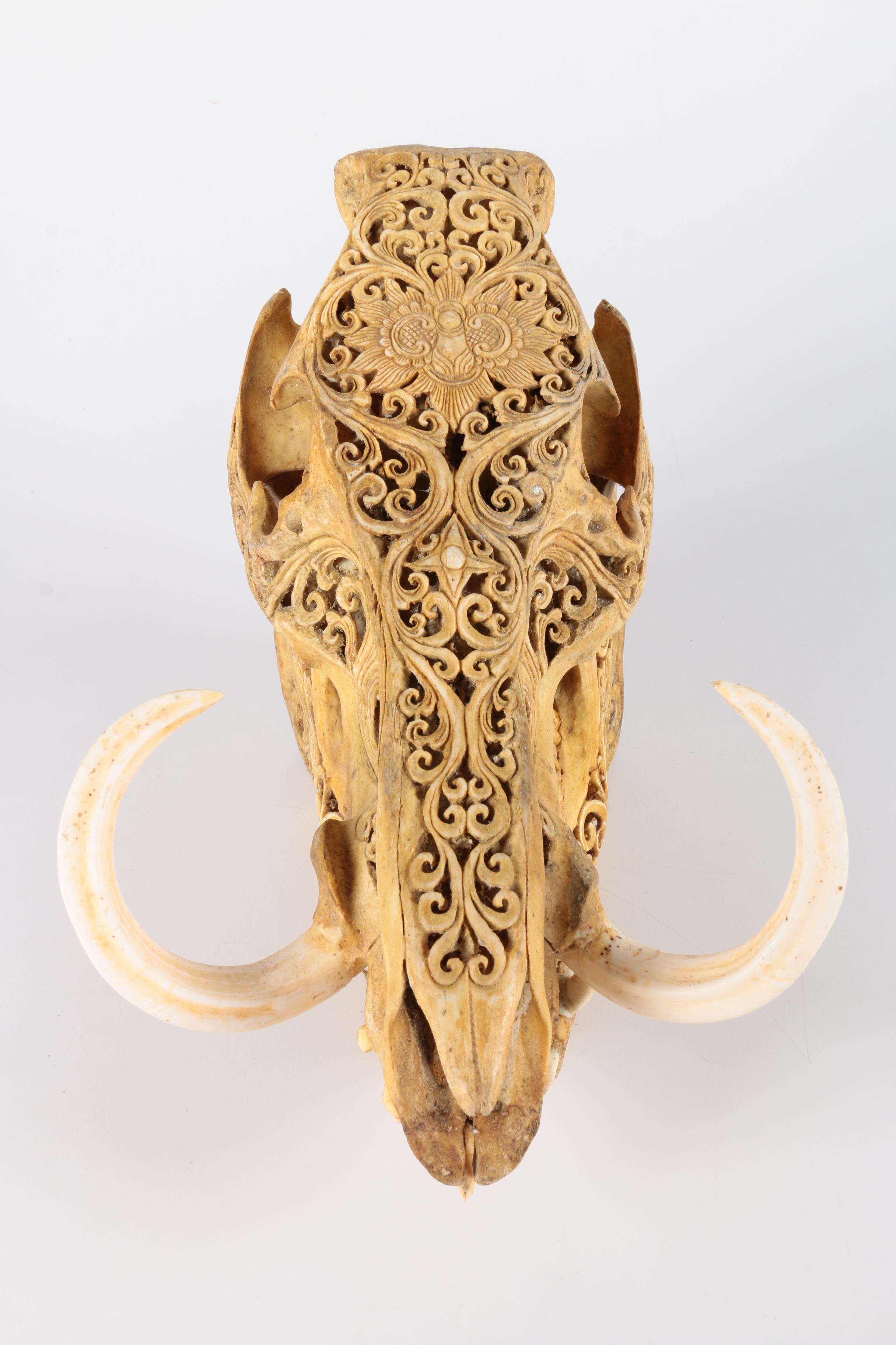 Carved Hog Skull