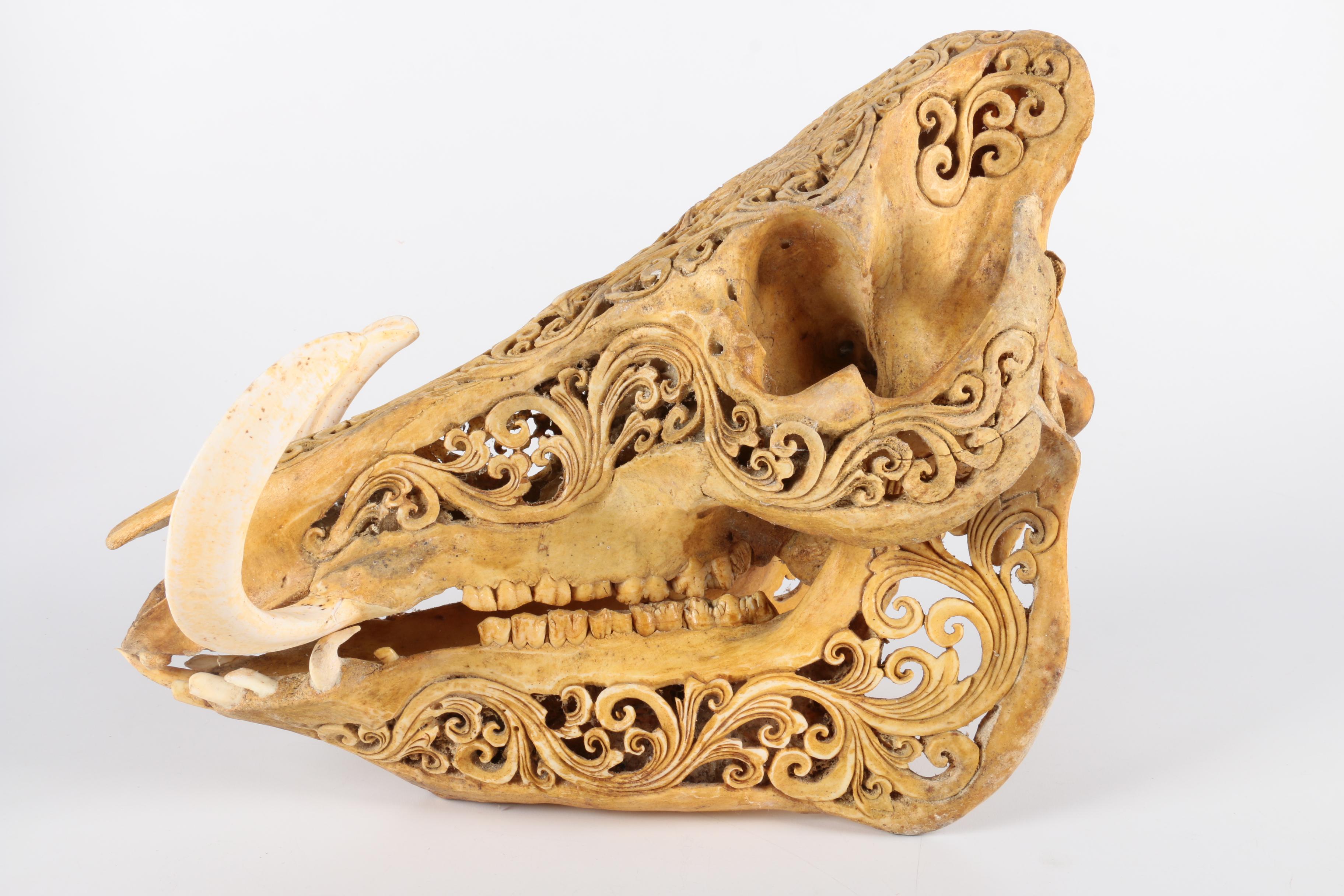 Carved Hog Skull
