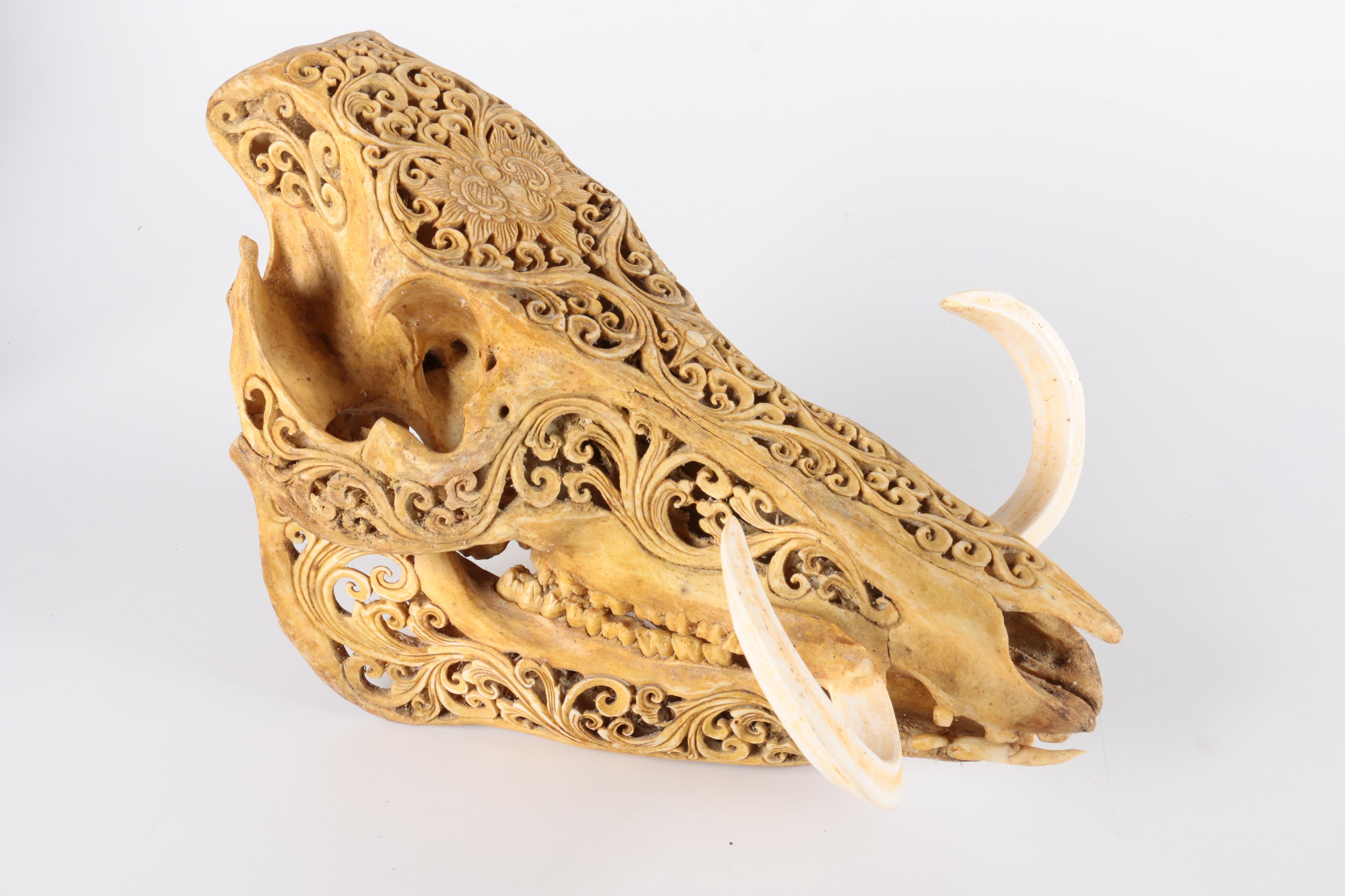 Carved Hog Skull