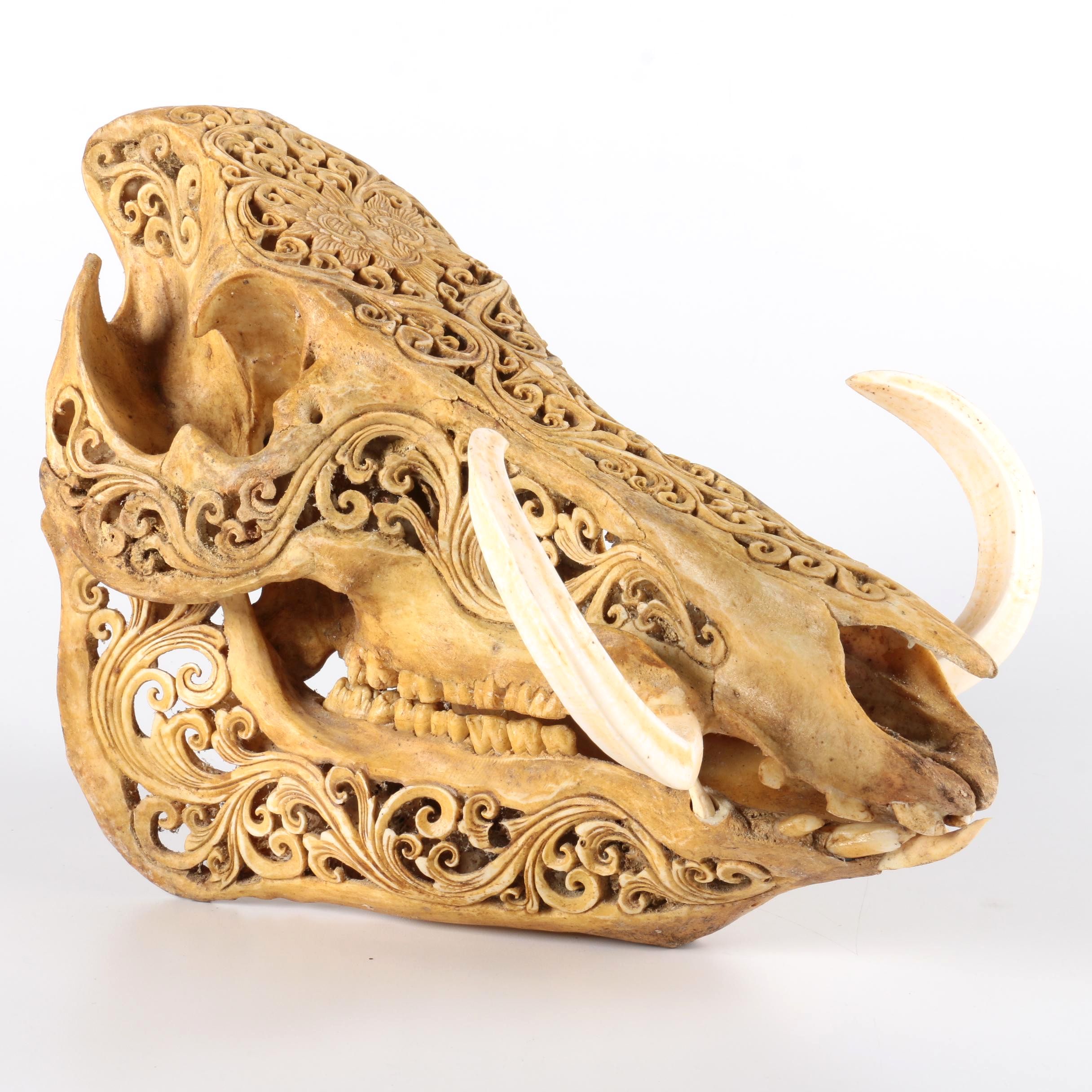Carved Hog Skull