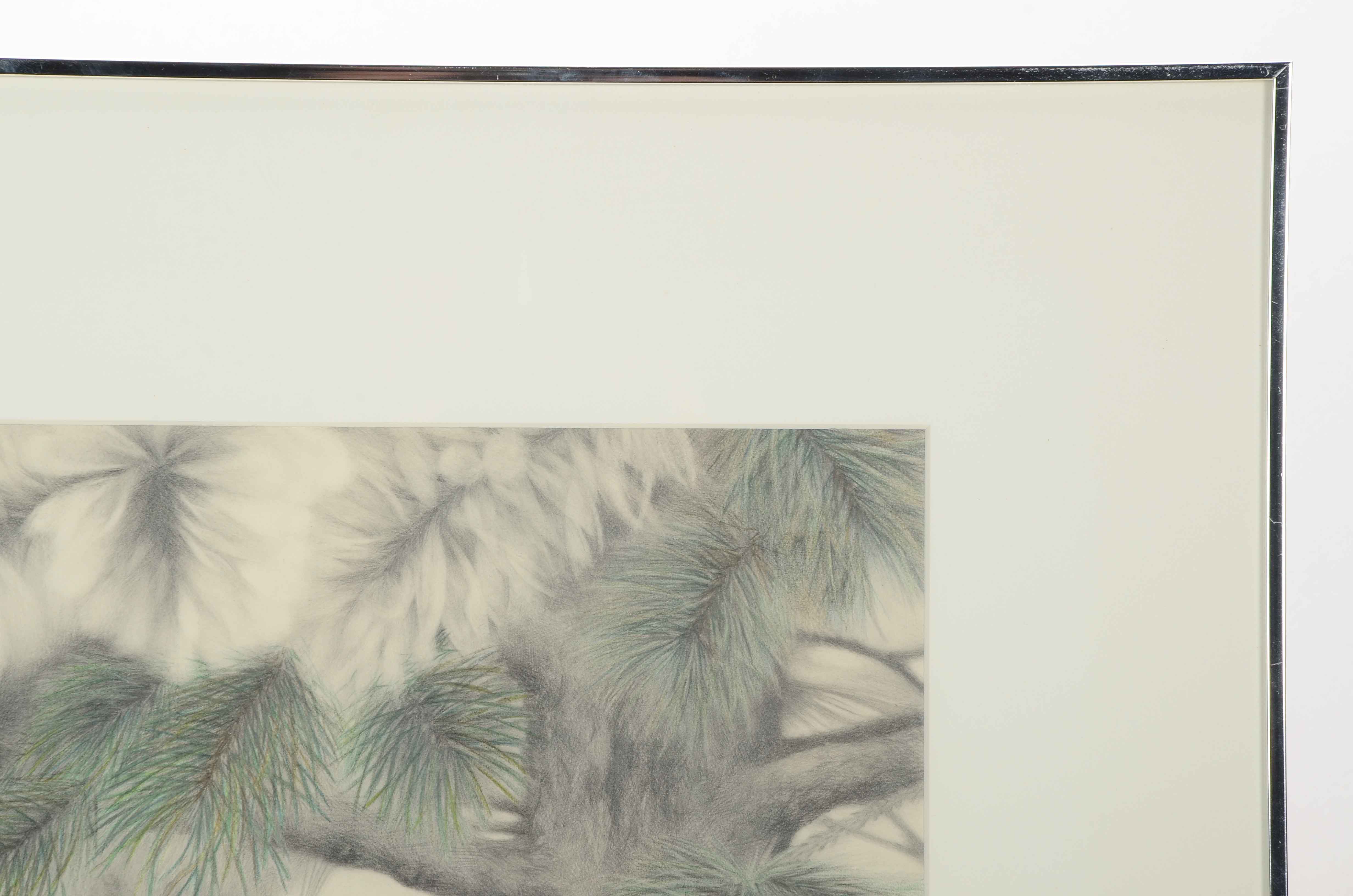 Marilyn Arn Oringinal Pencil Drawing of Bird's Nest in Fir Tree