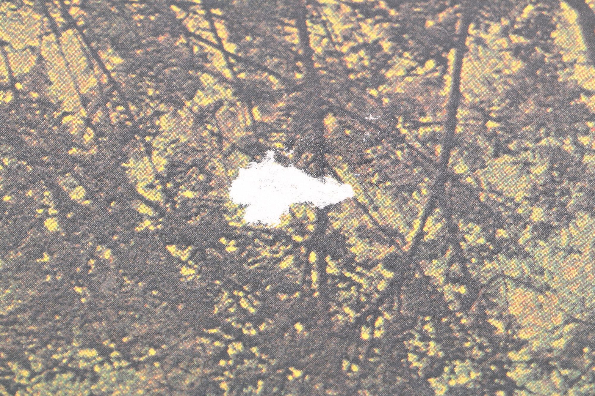 Black Sabbath "Master Of Reality" Original US Pressing LP with Poster