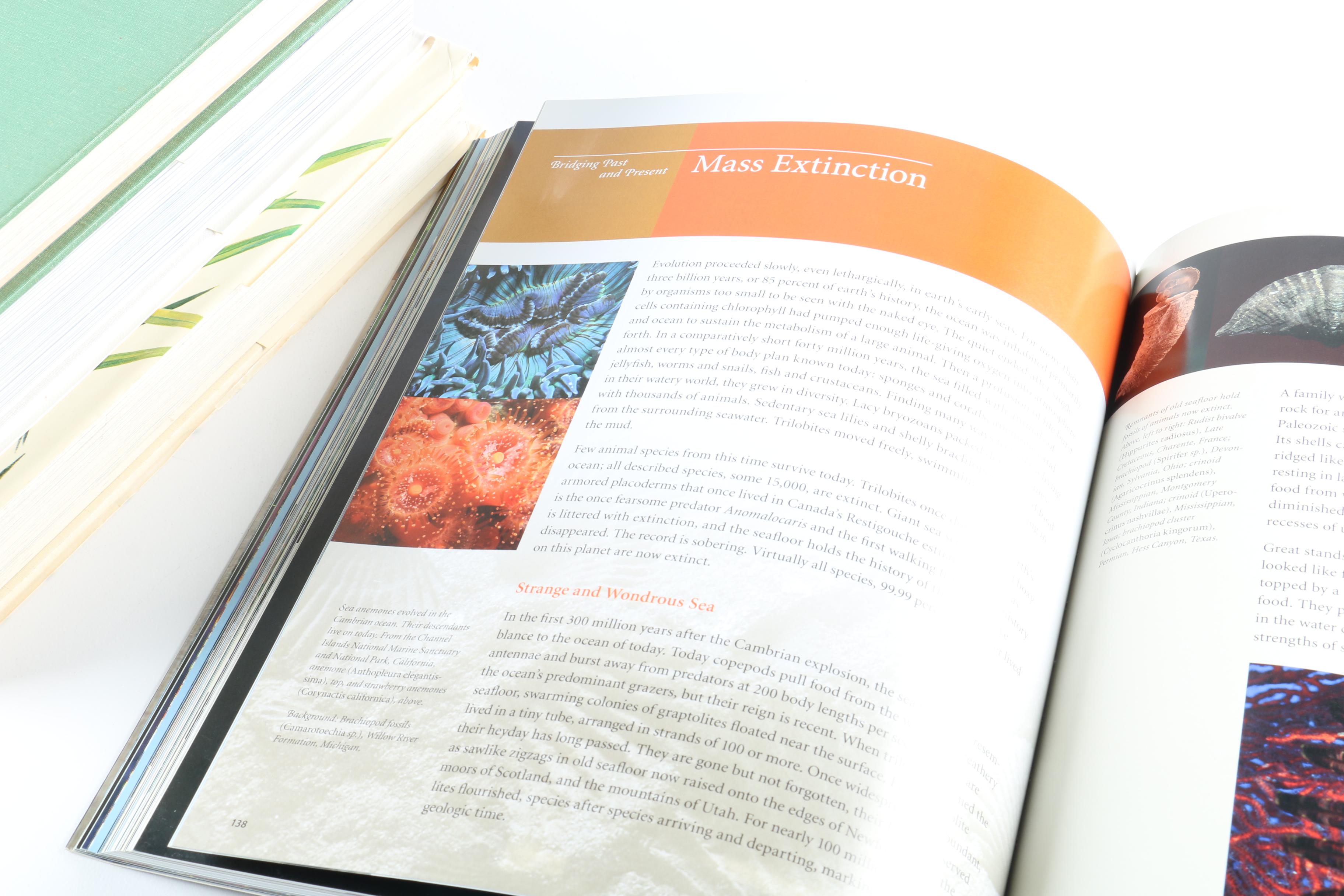 Assorted Hardcover Books on Animals