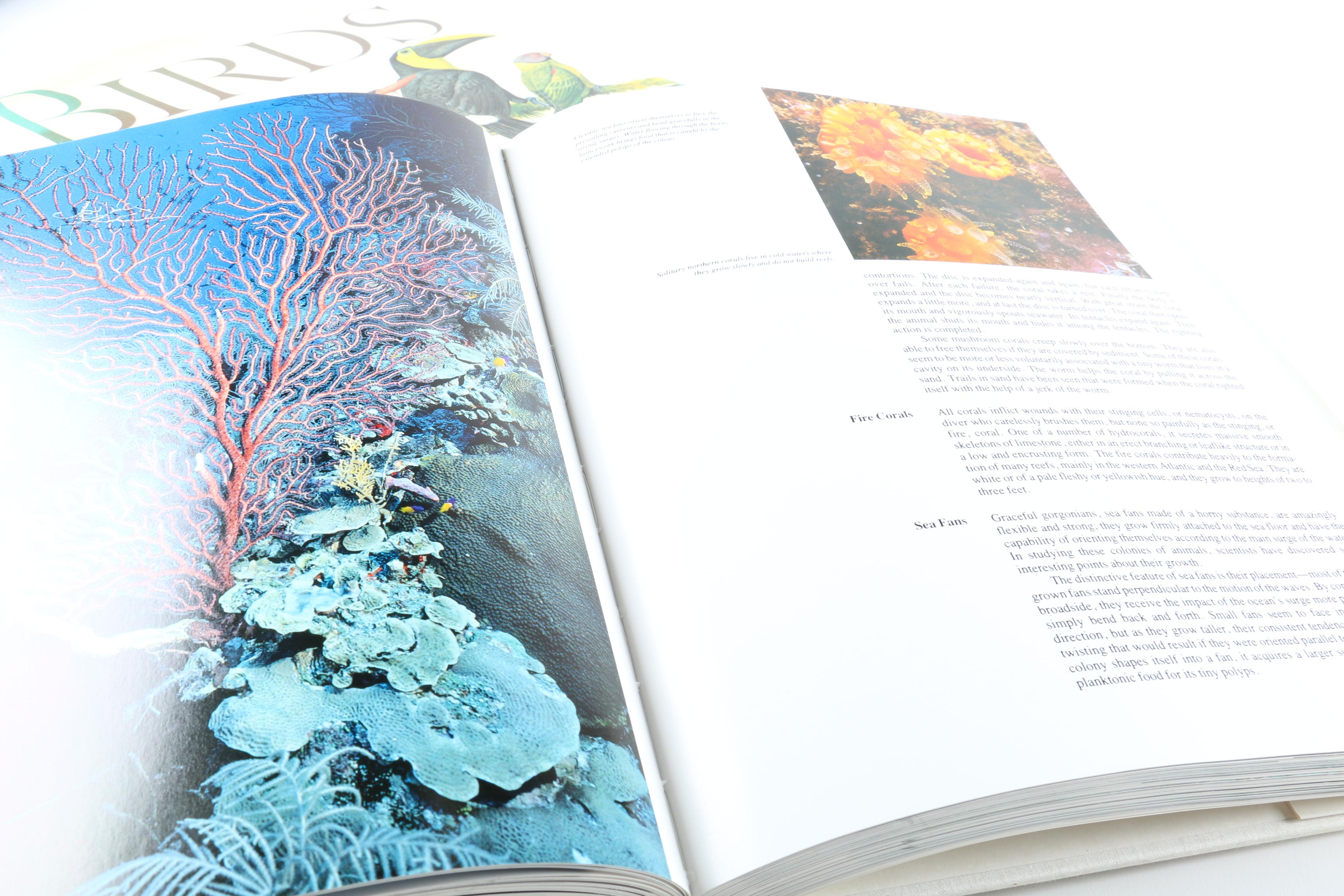 Assorted Hardcover Books on Animals