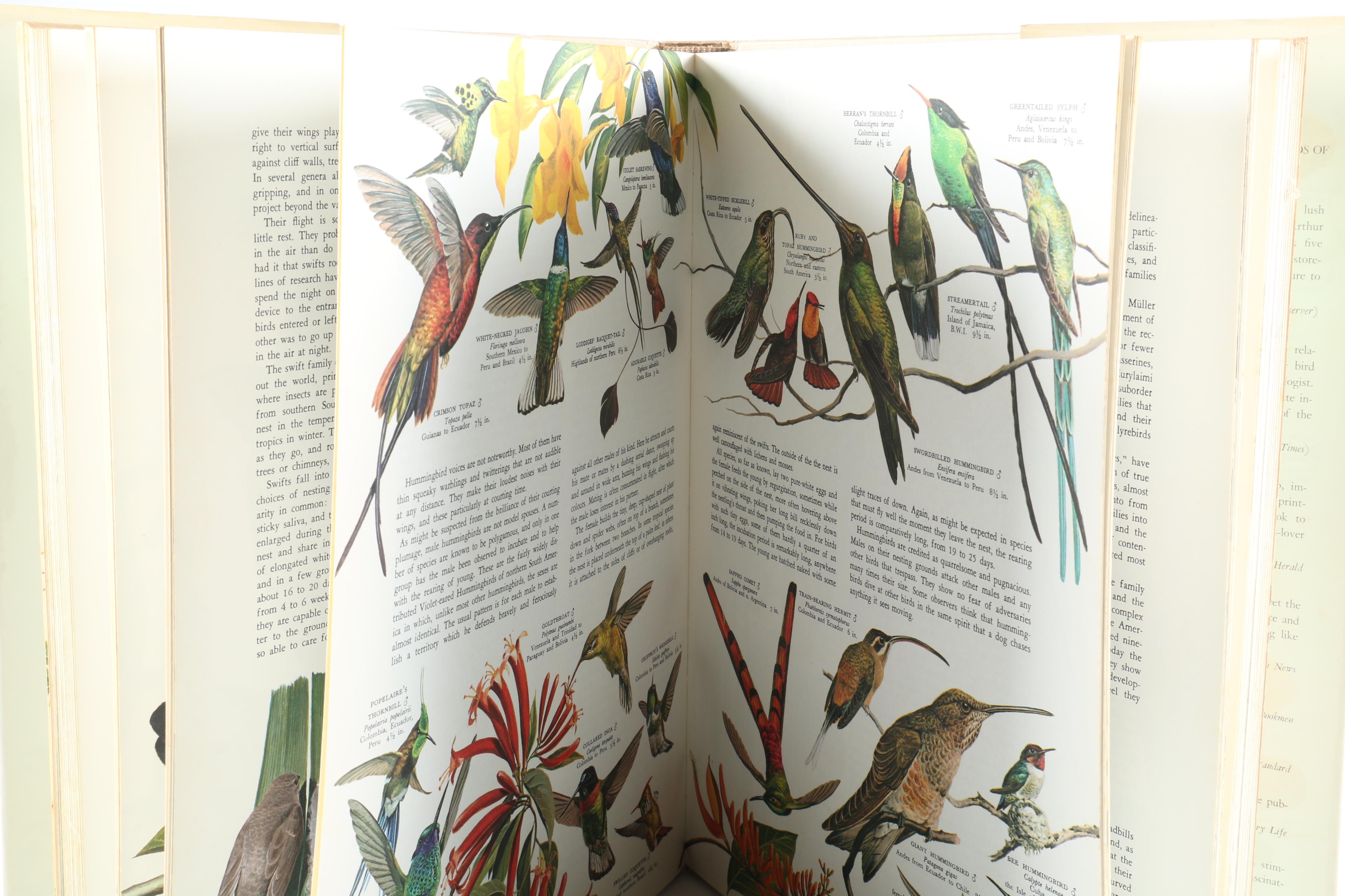 Assorted Hardcover Books on Animals