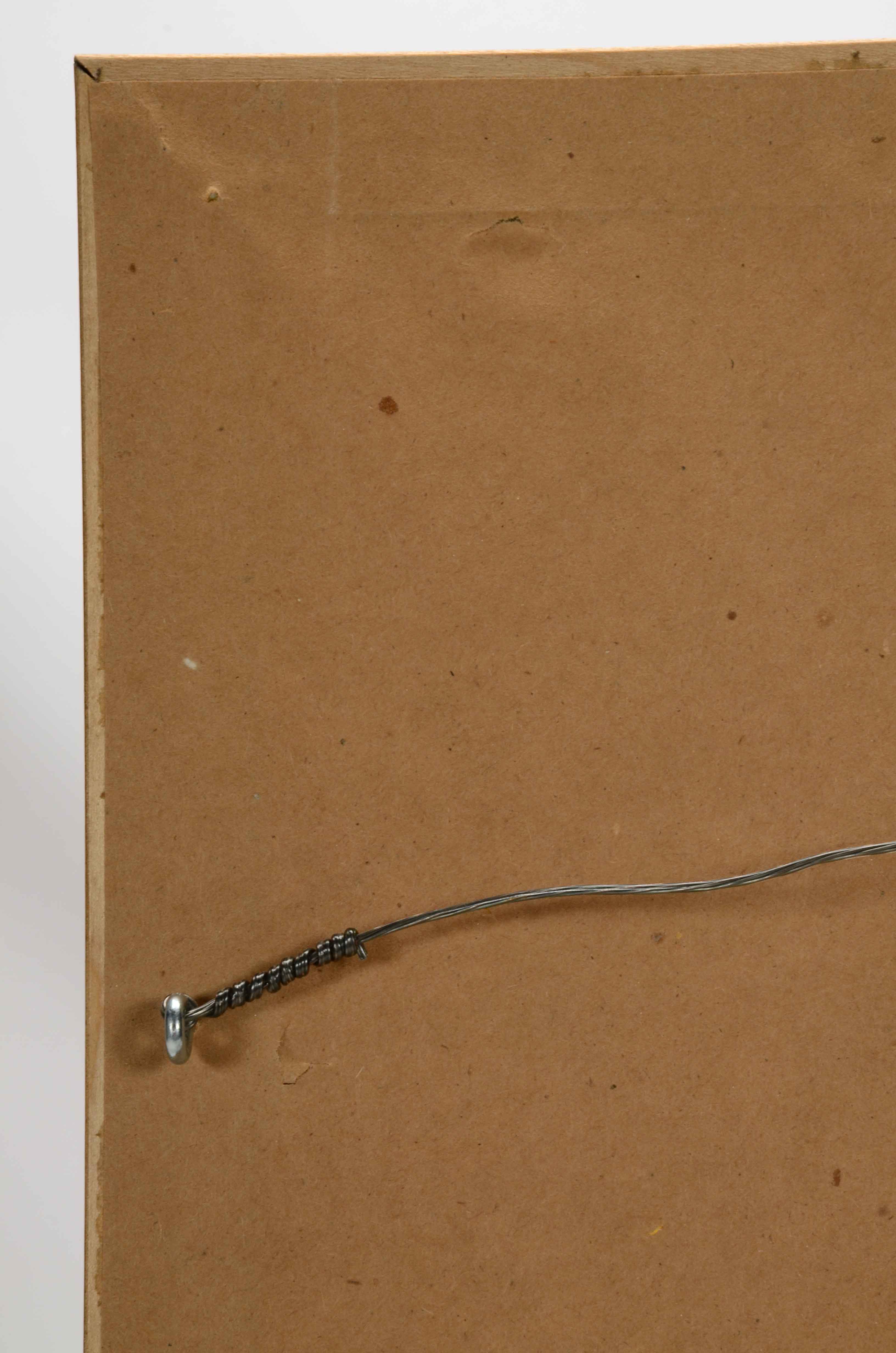 Alexander Wilson Offset Lithograph after "Sula Bassana" Gannet Illustration