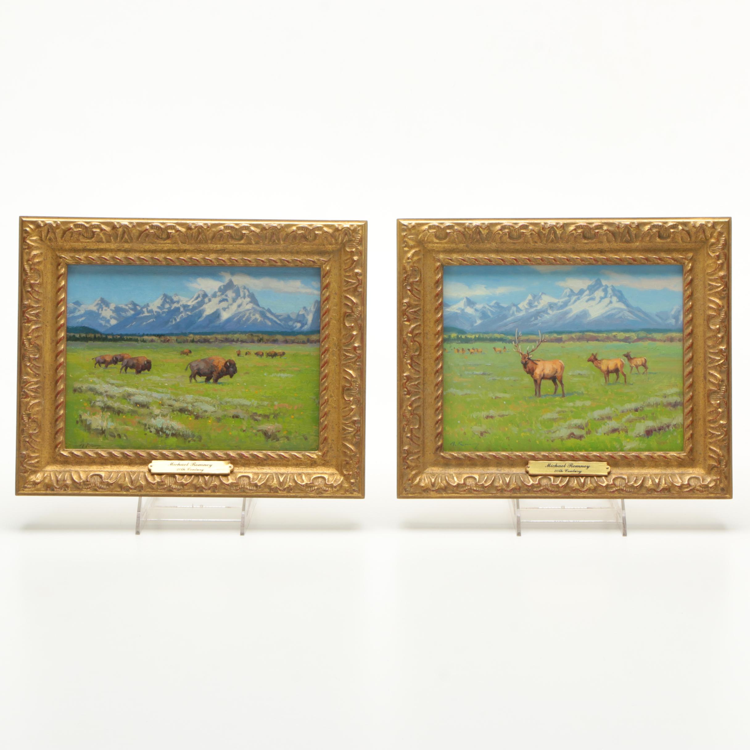 Michael Romney Oil Paintings of Bison and Elk