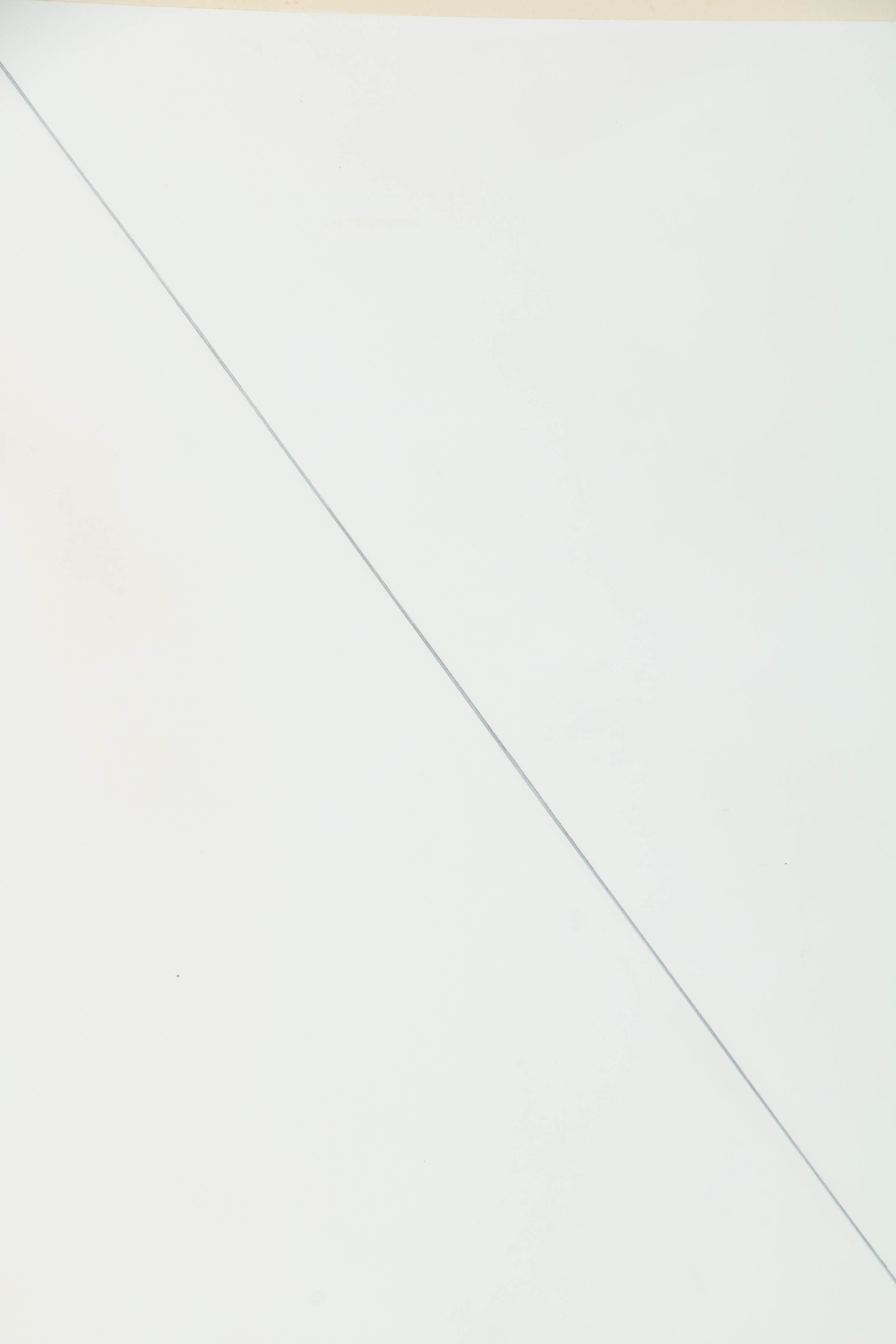 Nicholas Barbieri Incised Paper with Graphite