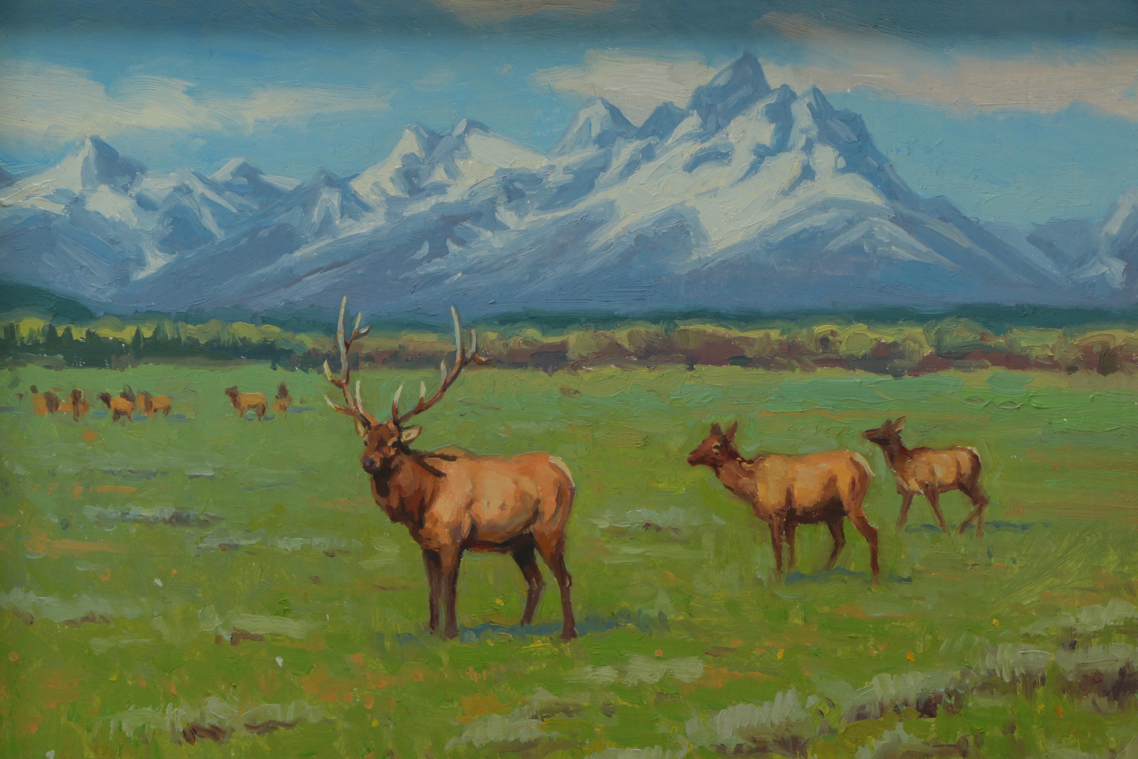 Michael Romney Oil Paintings of Bison and Elk