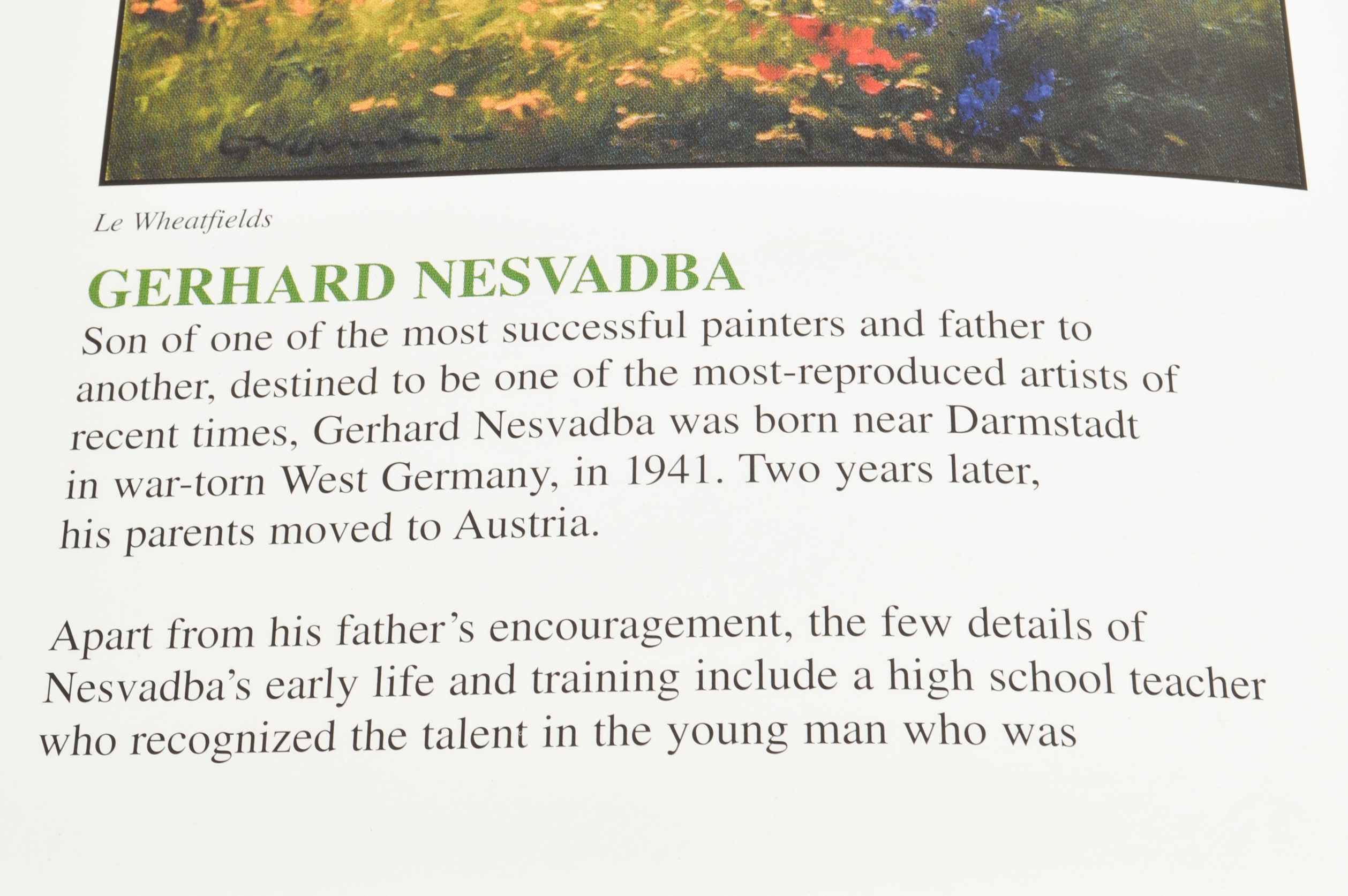 Gerhard Nesvadba Original Oil Landscape on Canvas