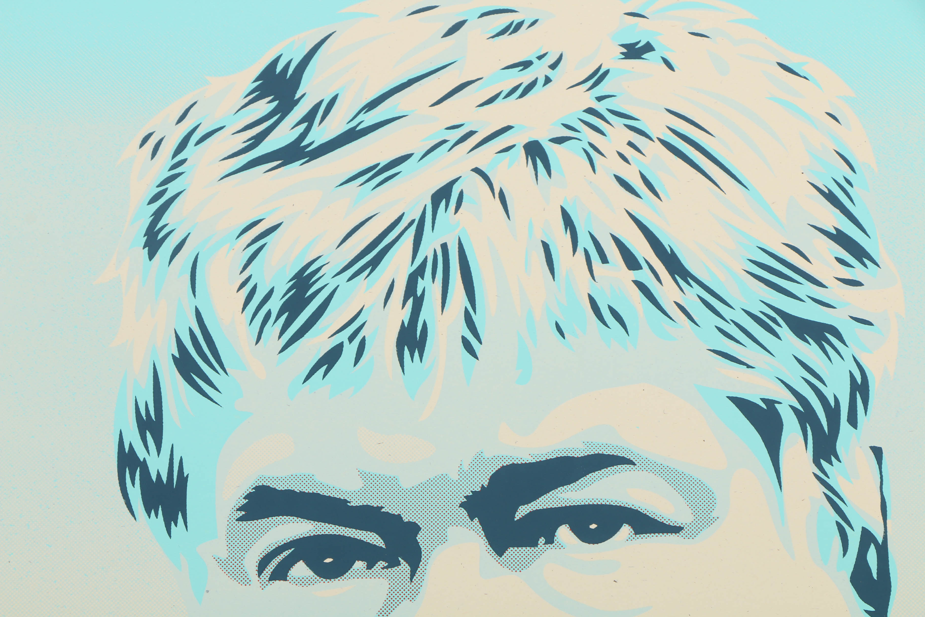 Shepard Fairey Limited Edition Serigraph "Captain Paul Watson"