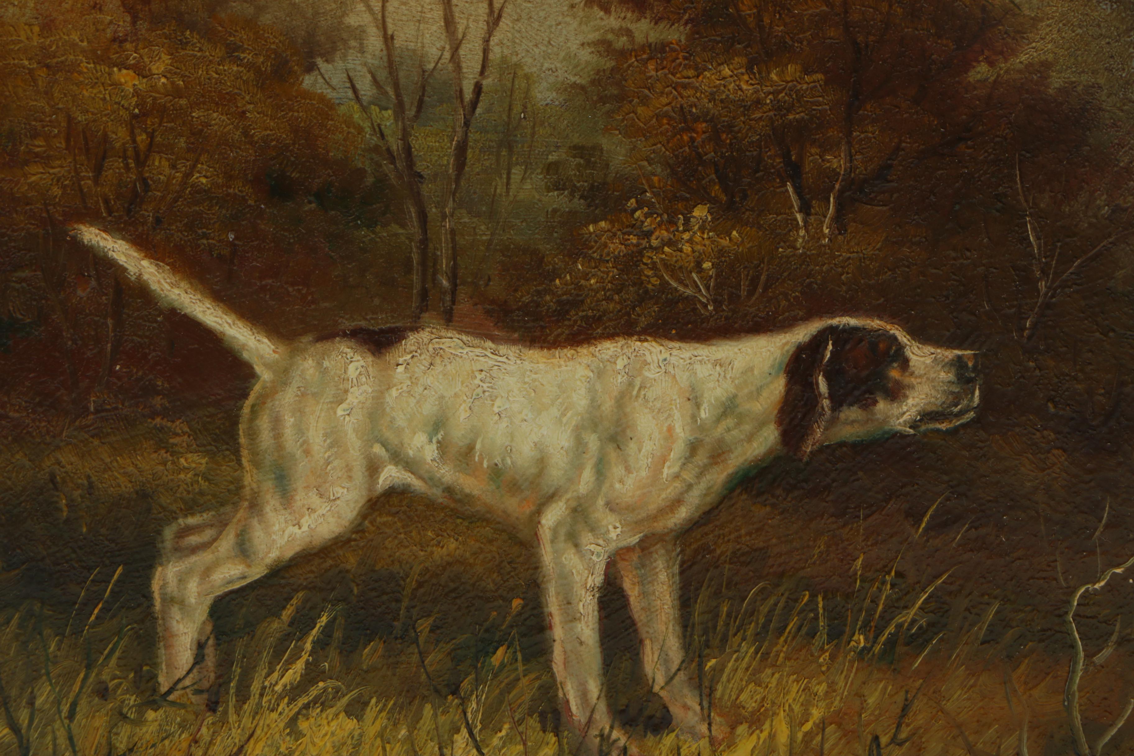 Collection of Oil Paintings on Board