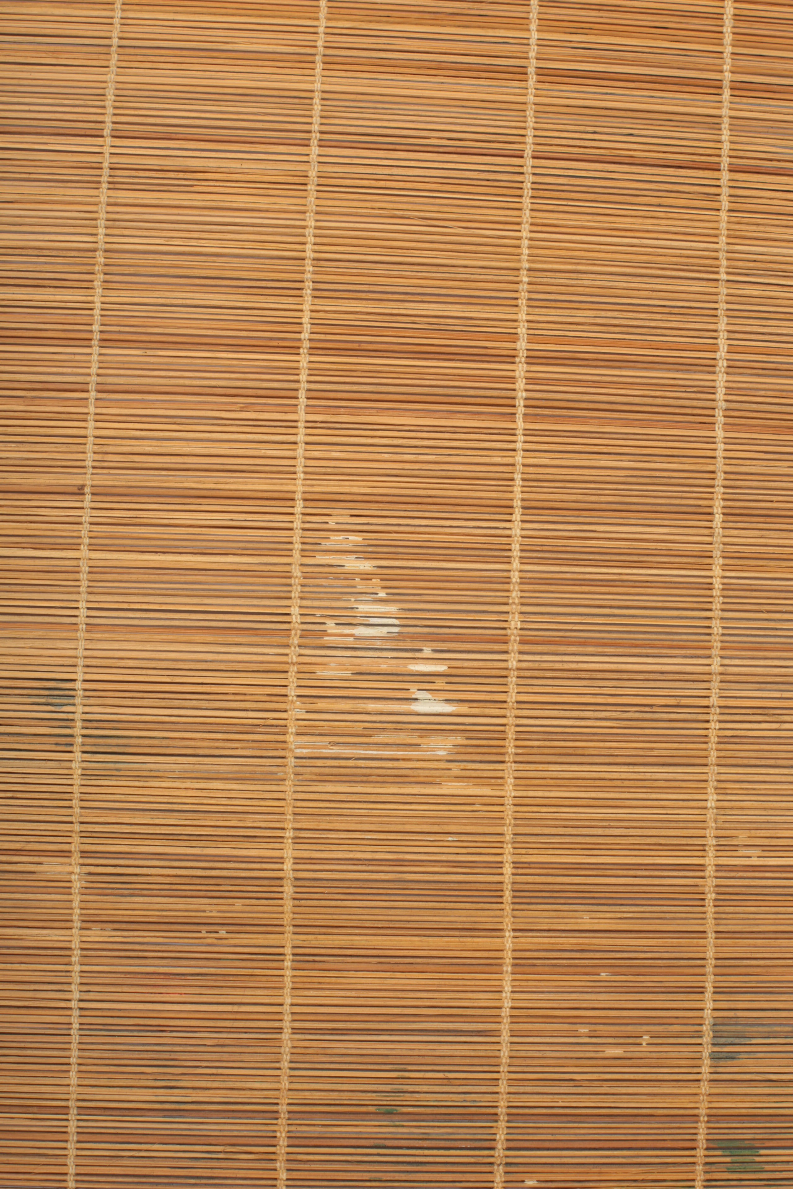 Chinese Bamboo Scroll Painting