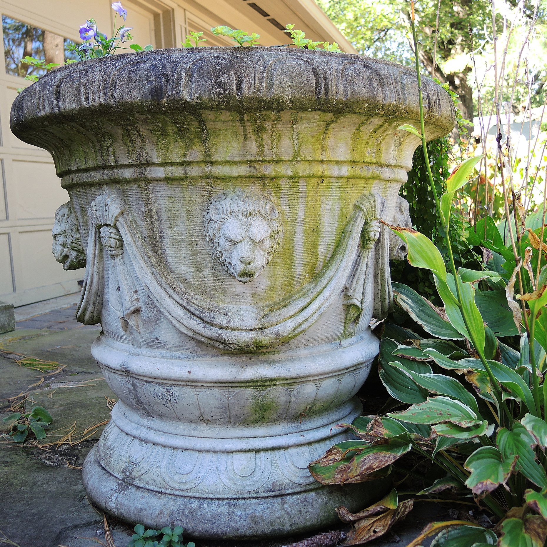 Large Concrete Lion Flower Planter