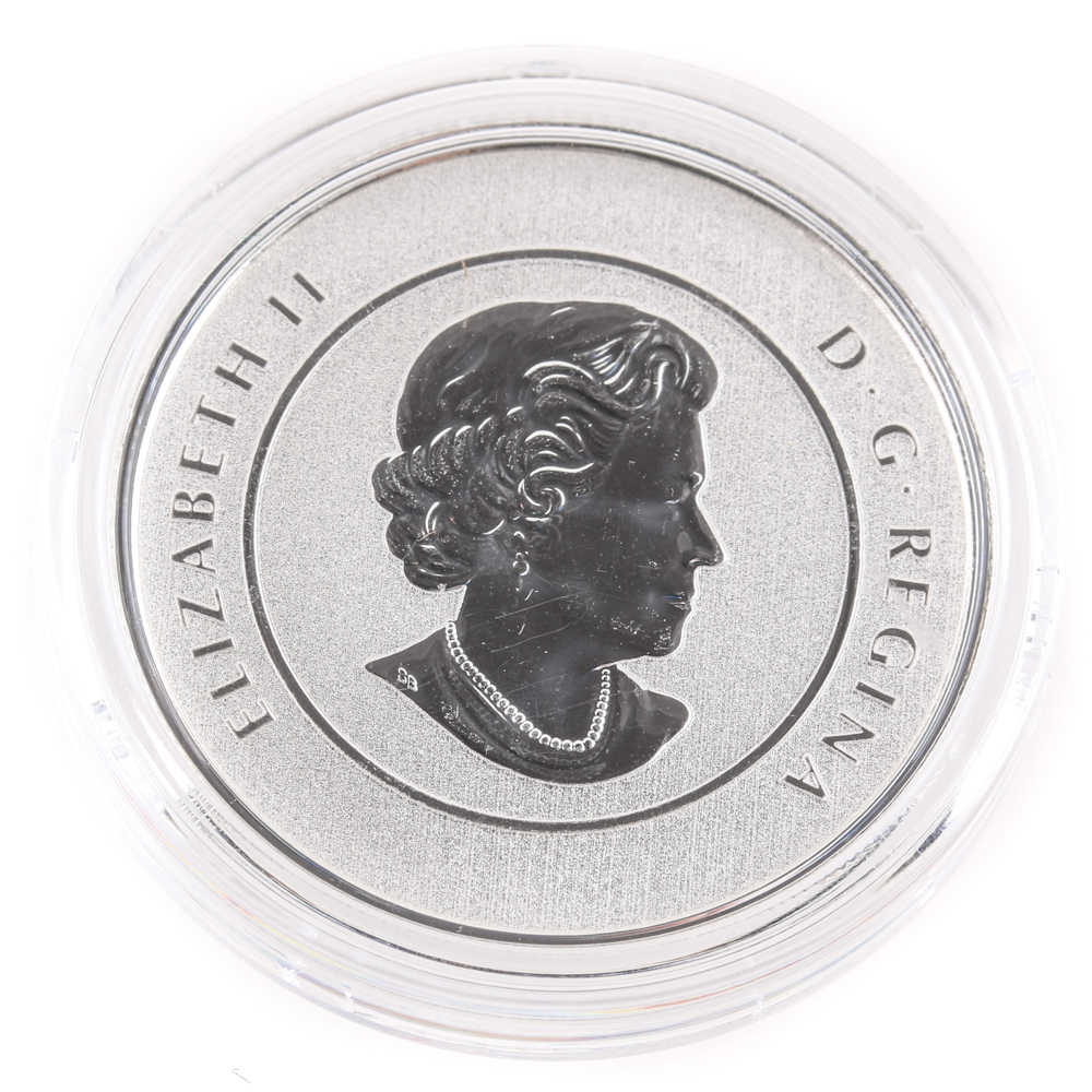 2015 Canadian $20 Silver Goose Coin