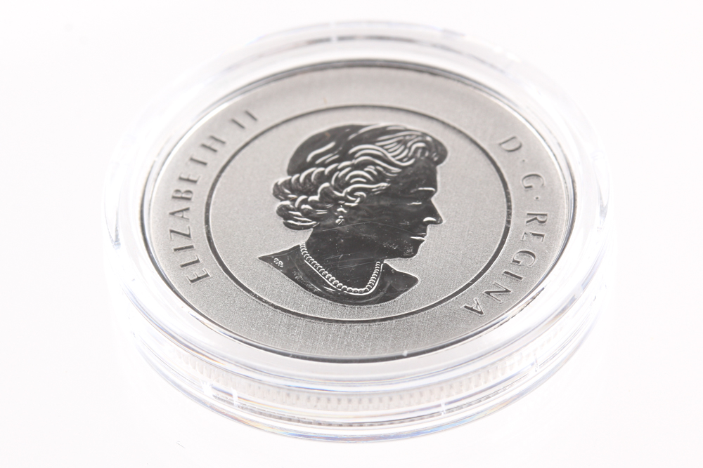2015 Canadian $20 Silver Goose Coin