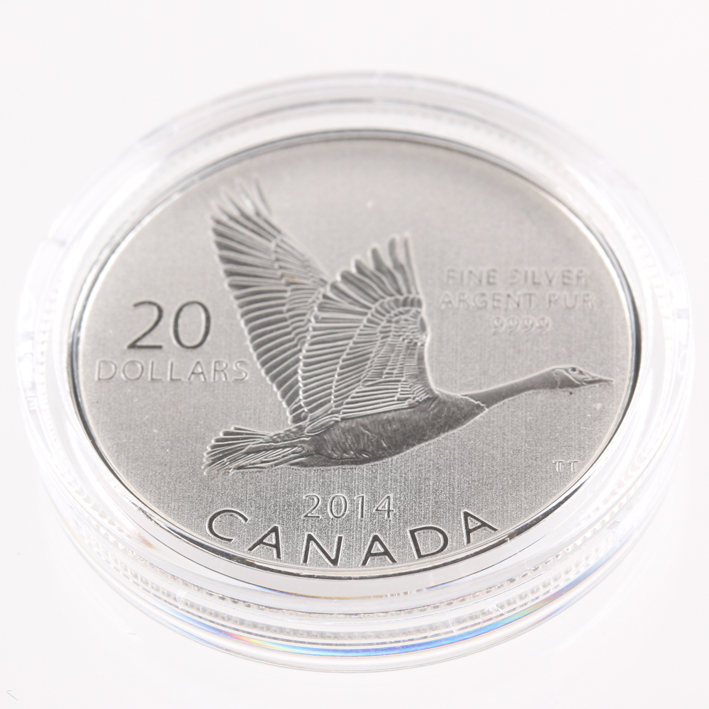 2015 Canadian $20 Silver Goose Coin