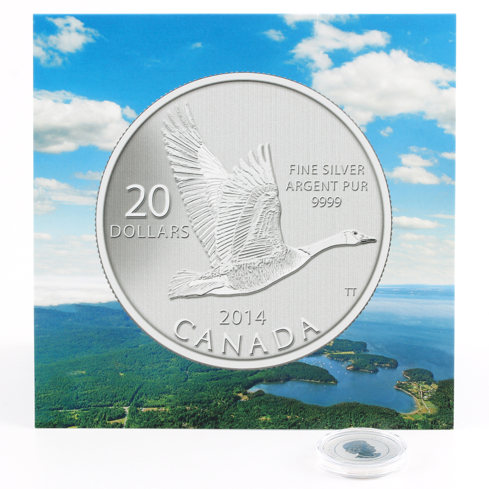 2015 Canadian $20 Silver Goose Coin