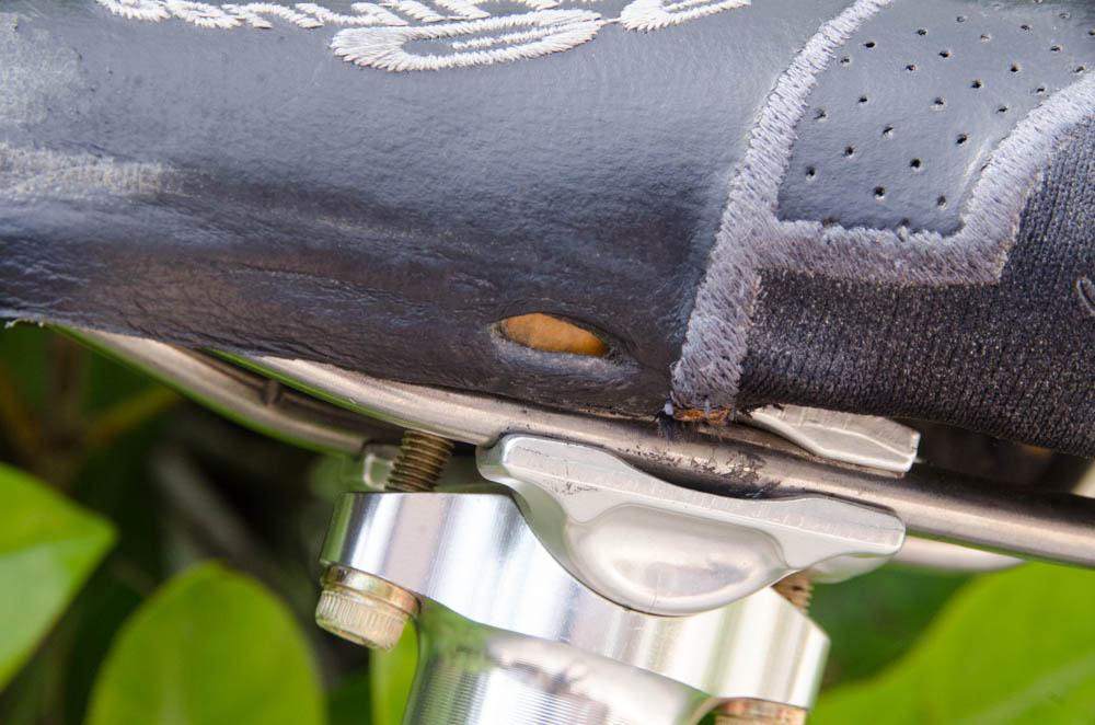 Trek "5000 Oclv" Carbon Road Bike with Pursuit Handlebars