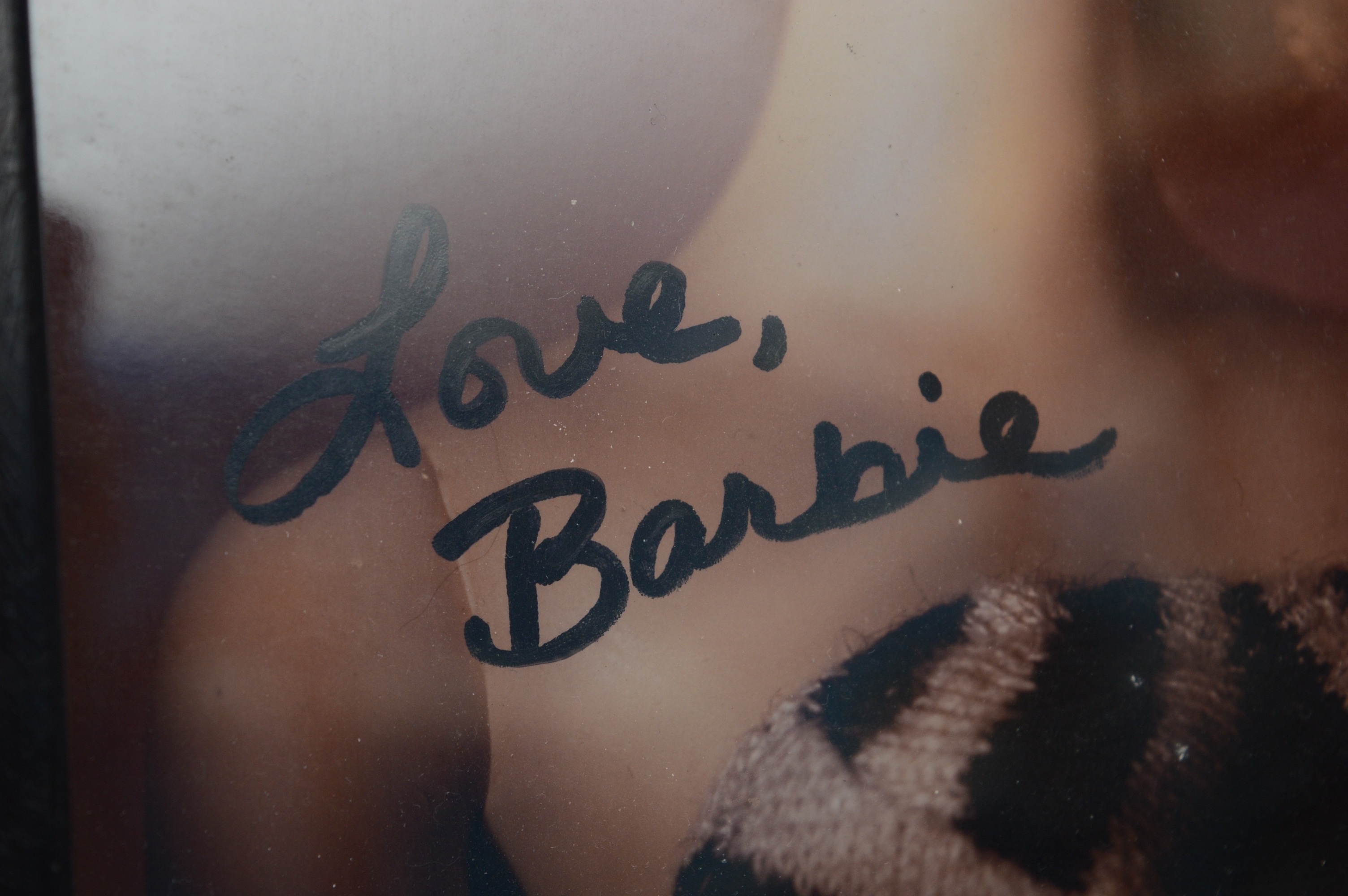 Barbie Accessory Miscellaneous Items