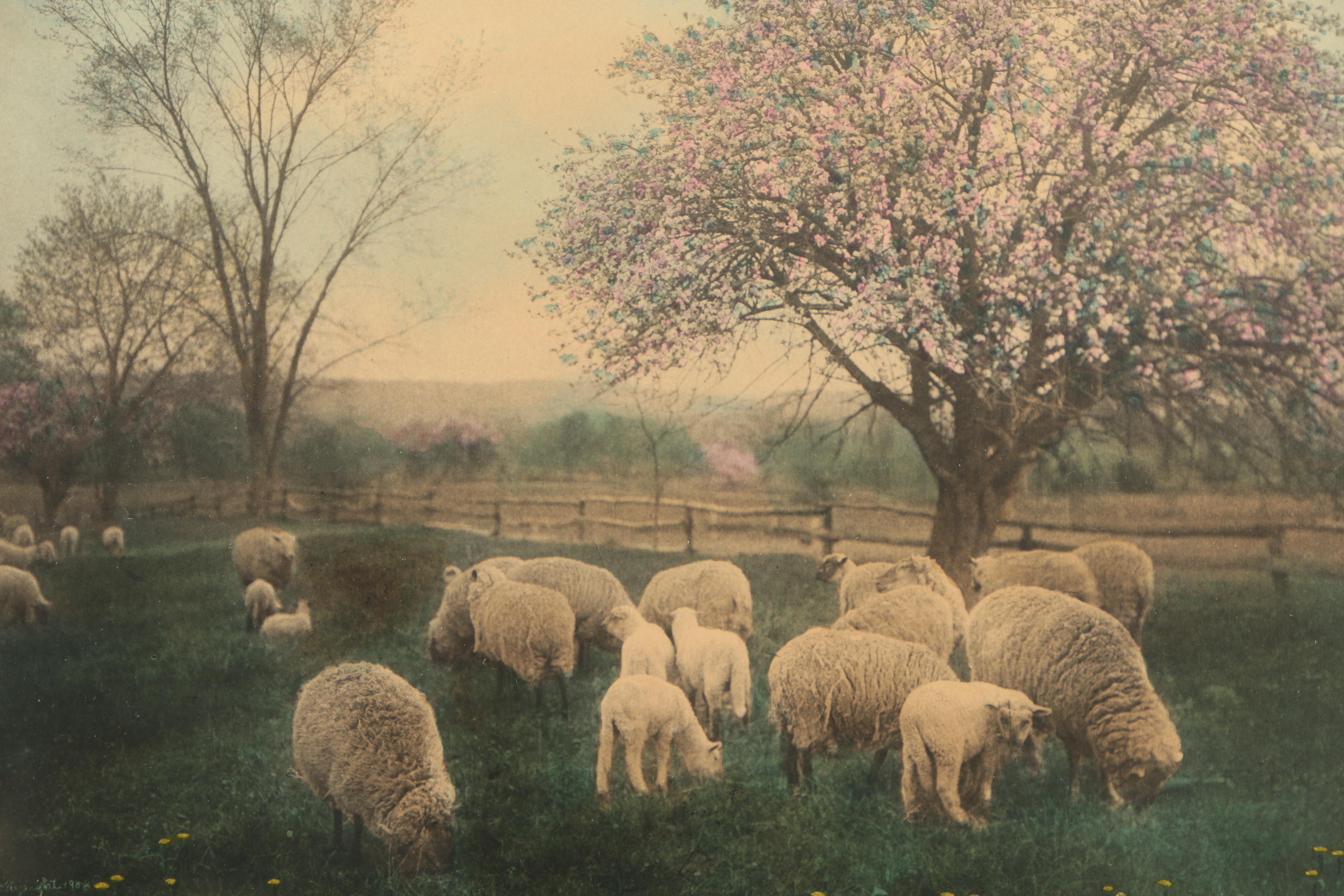 Wallace Nutting Hand-Colored Photograph "Under the Blossoms"