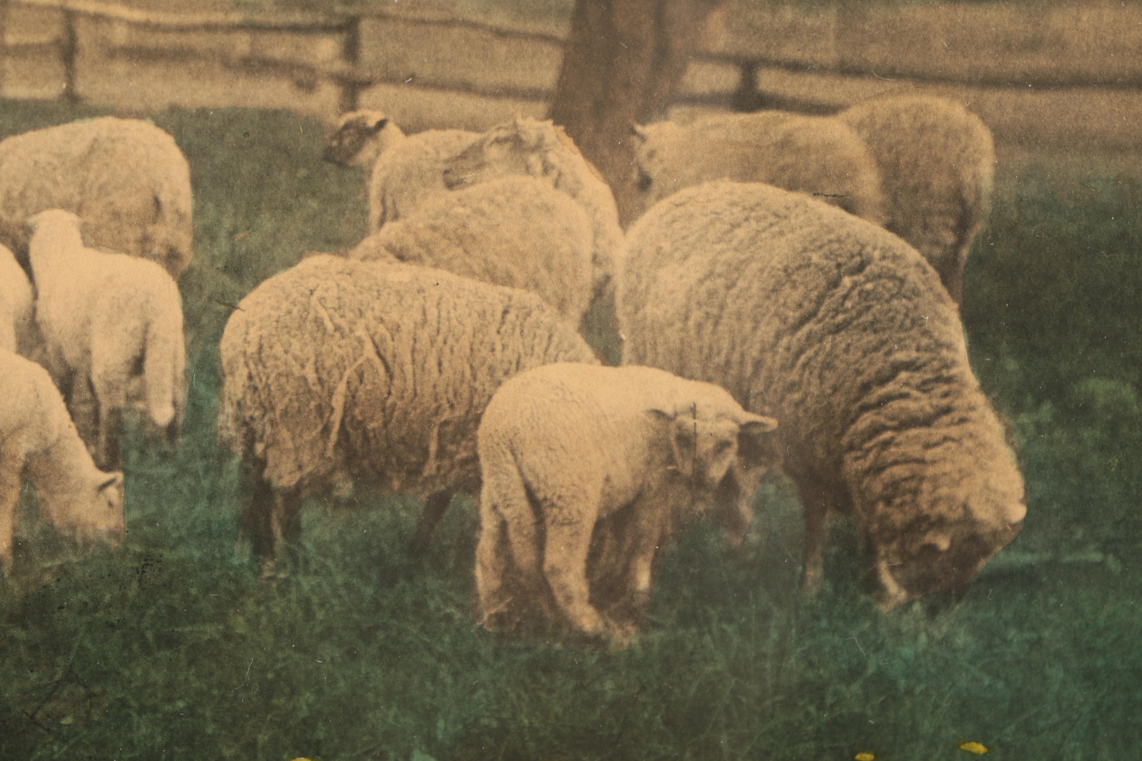 Wallace Nutting Hand-Colored Photograph "Under the Blossoms"
