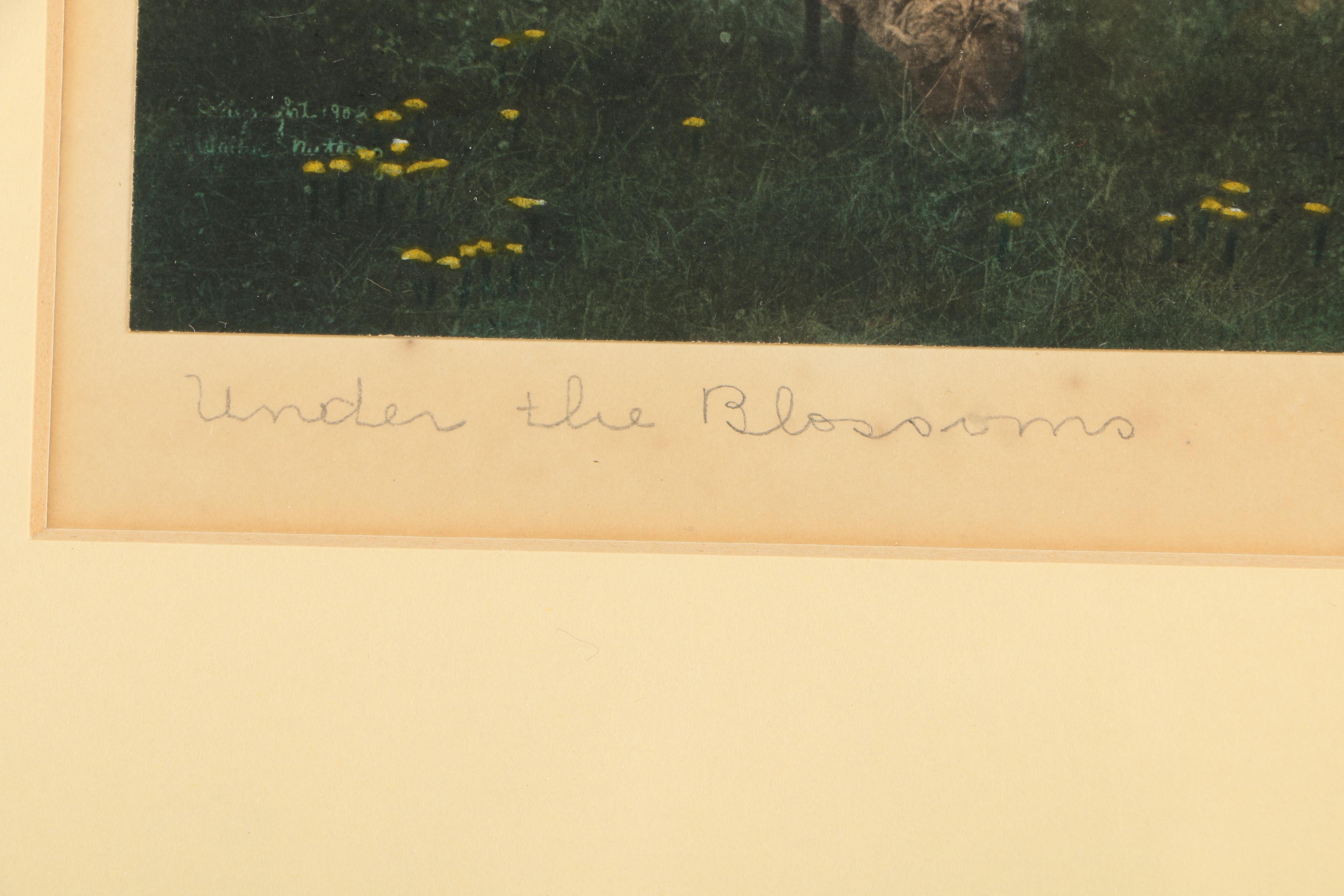 Wallace Nutting Hand-Colored Photograph "Under the Blossoms"
