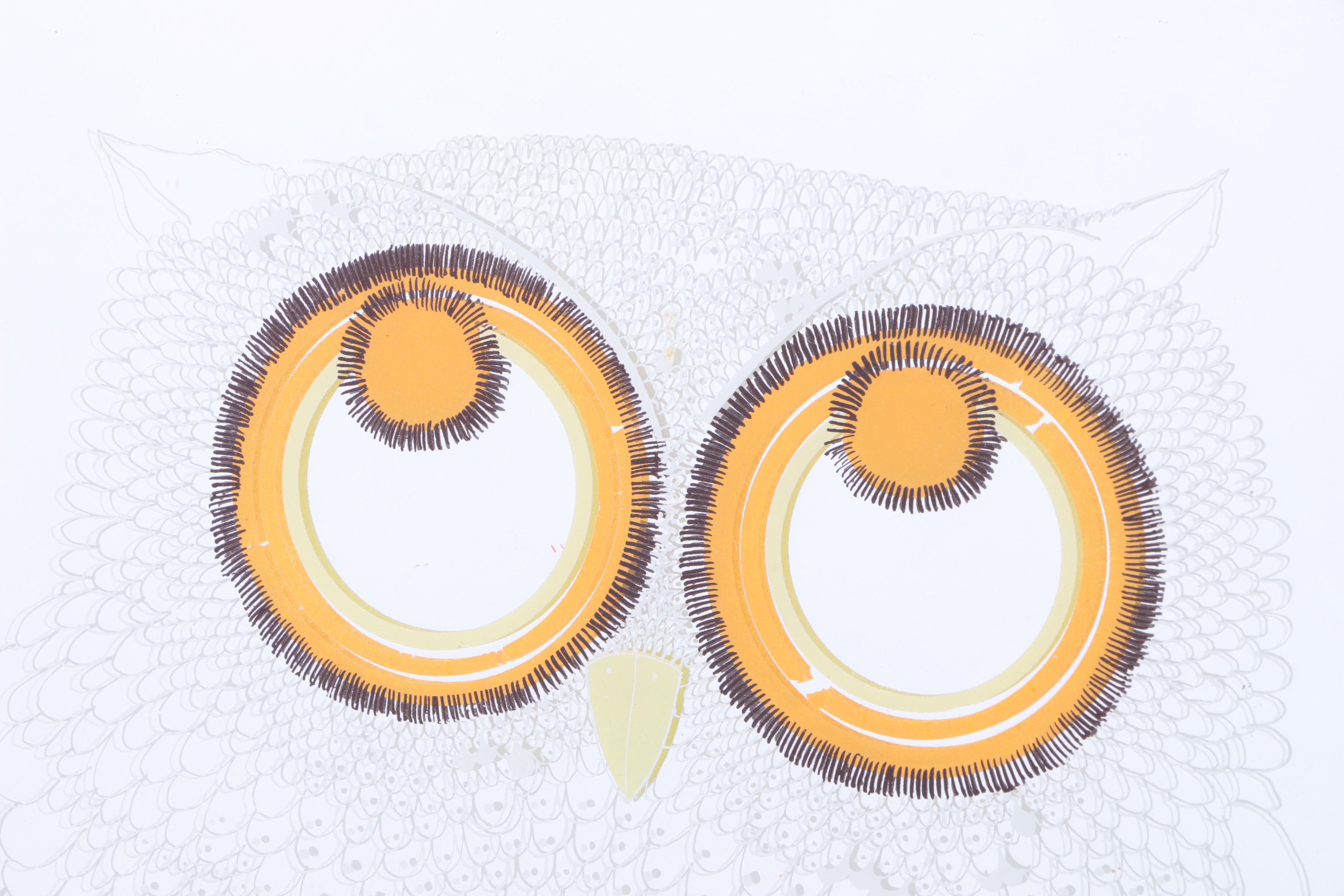 Assortment of Owl Decor