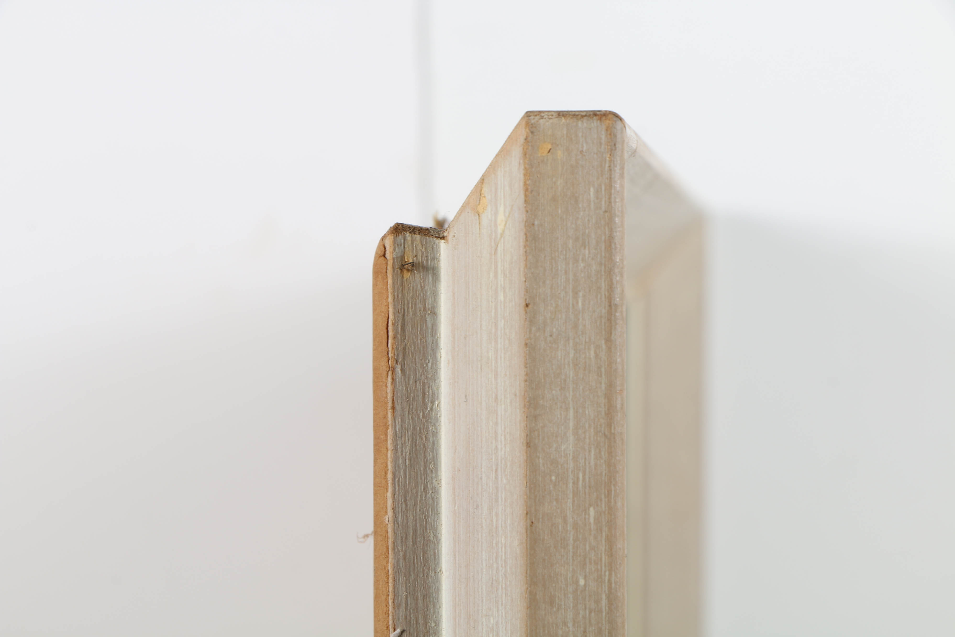 Harman Oil Painting of a Bare Winter Forest