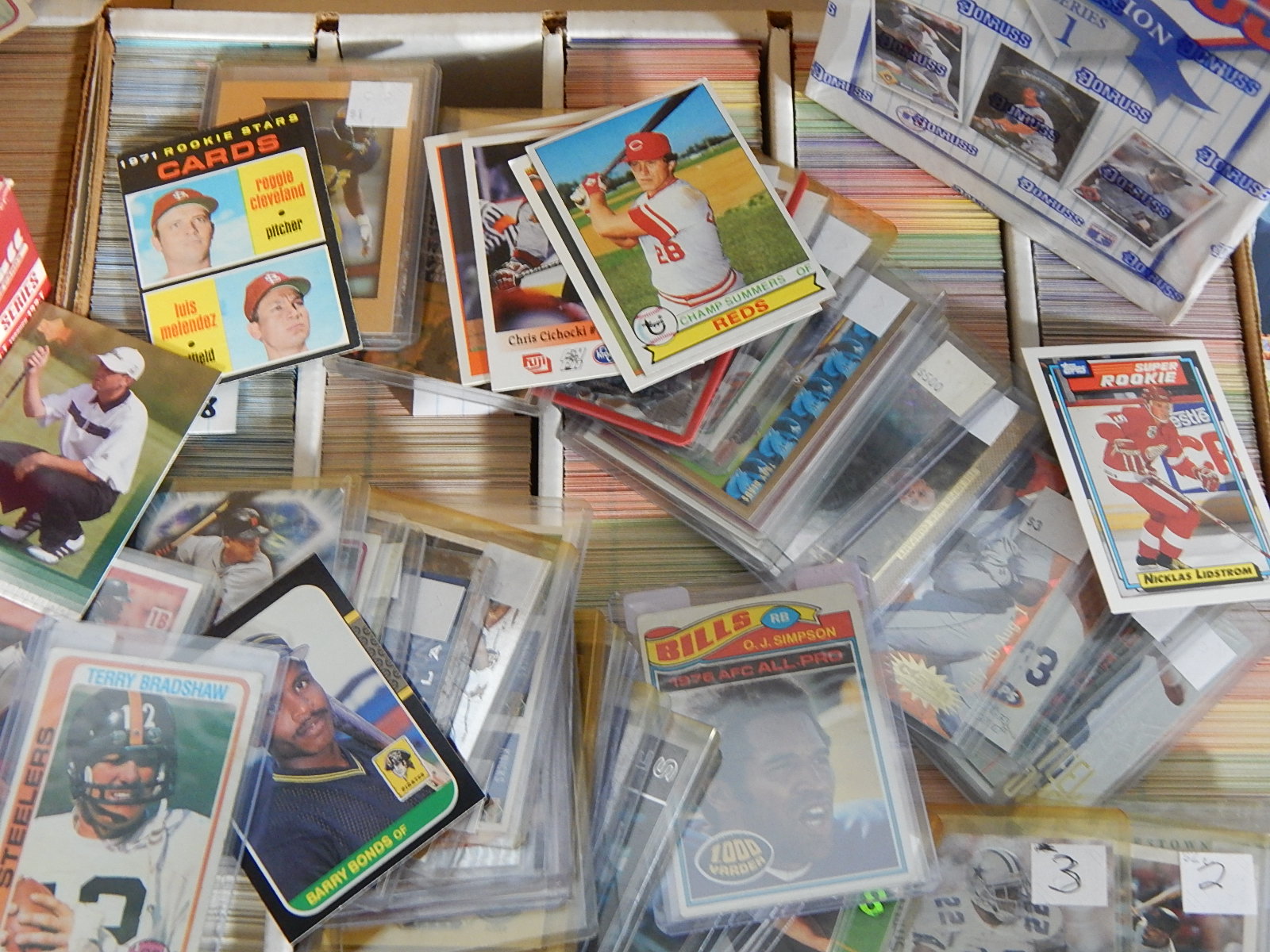 Large Sports Card Collection