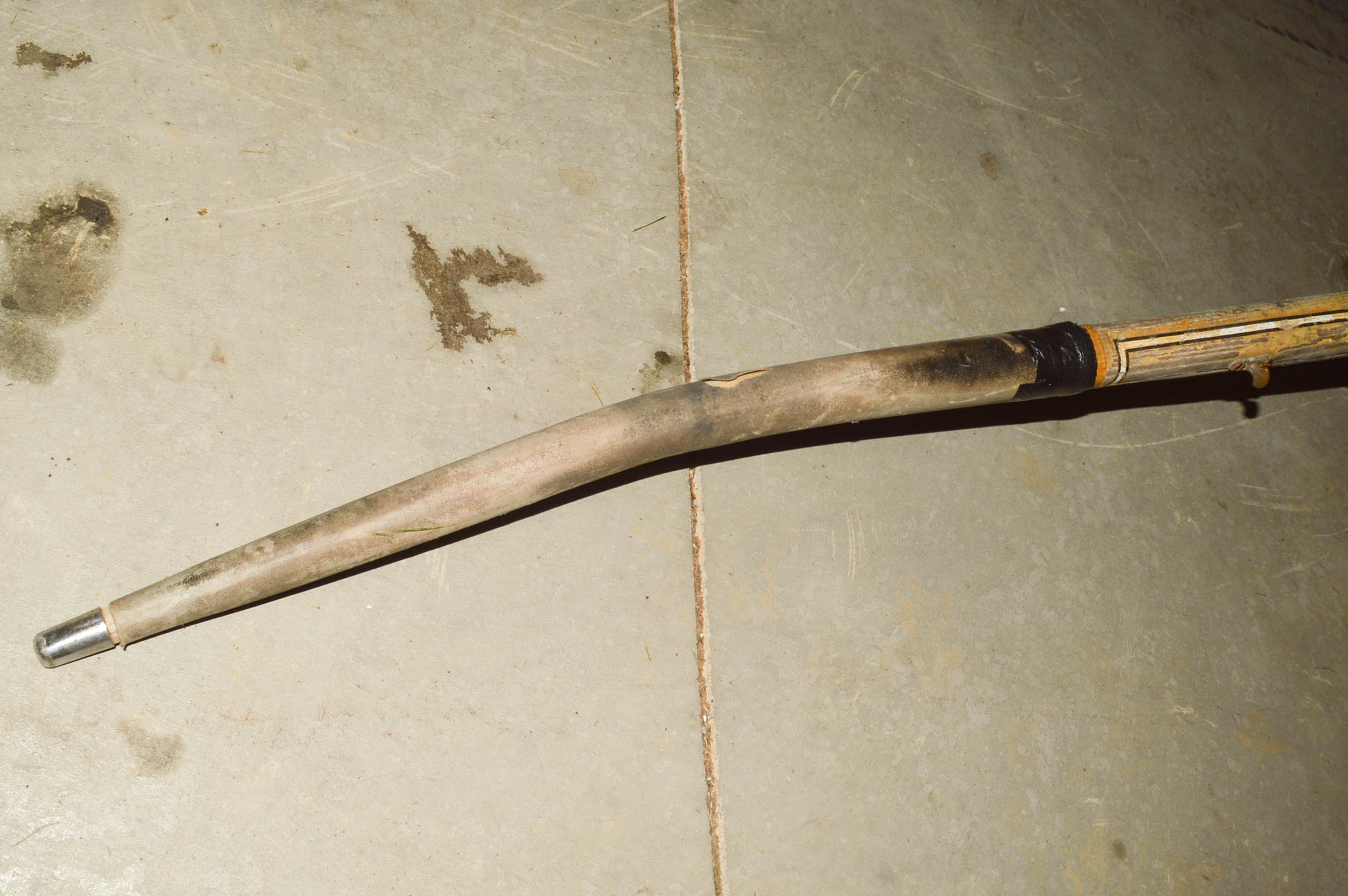 Tillsonburg Harness Horse Jog Cart