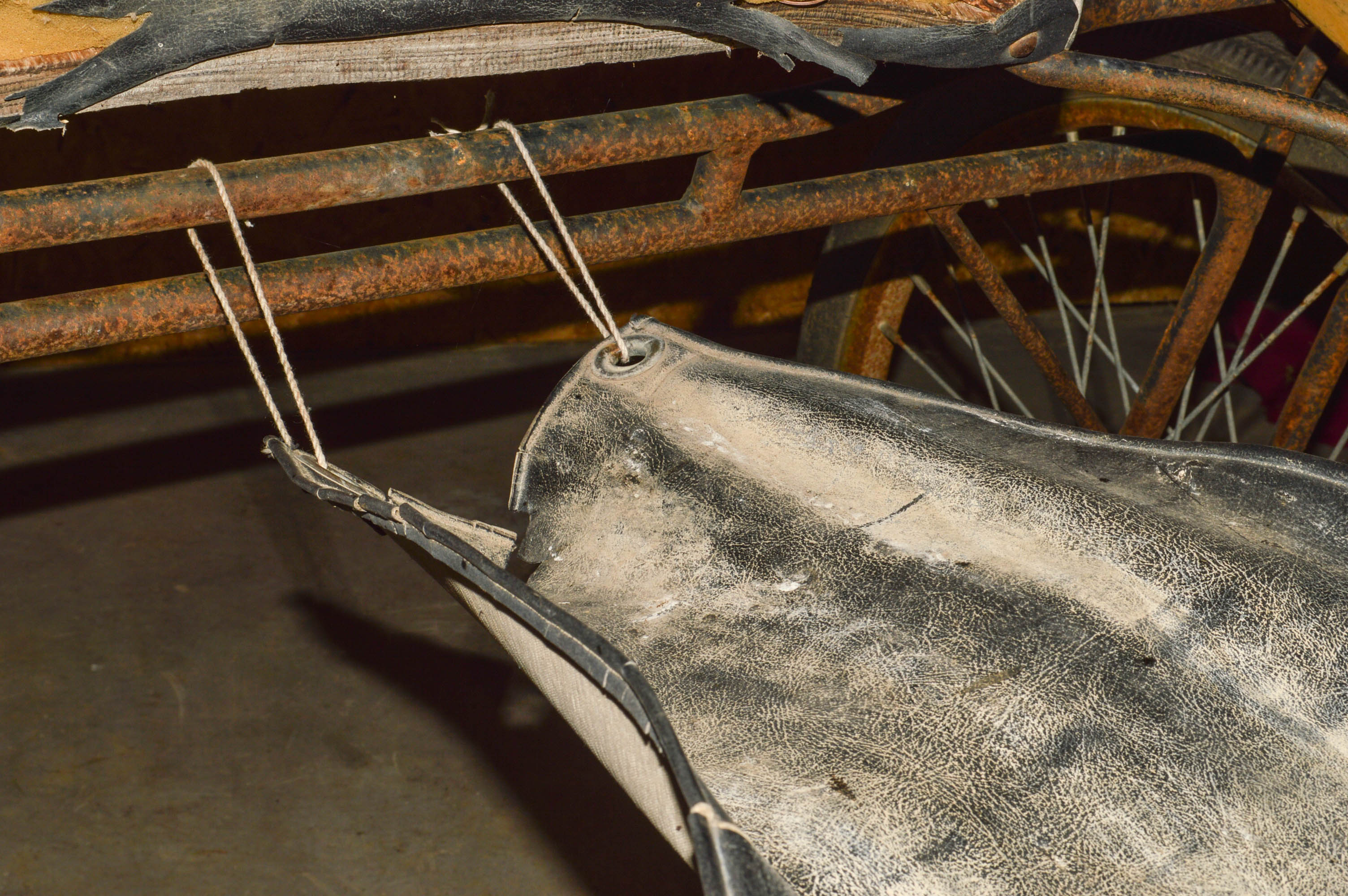 Tillsonburg Harness Horse Jog Cart