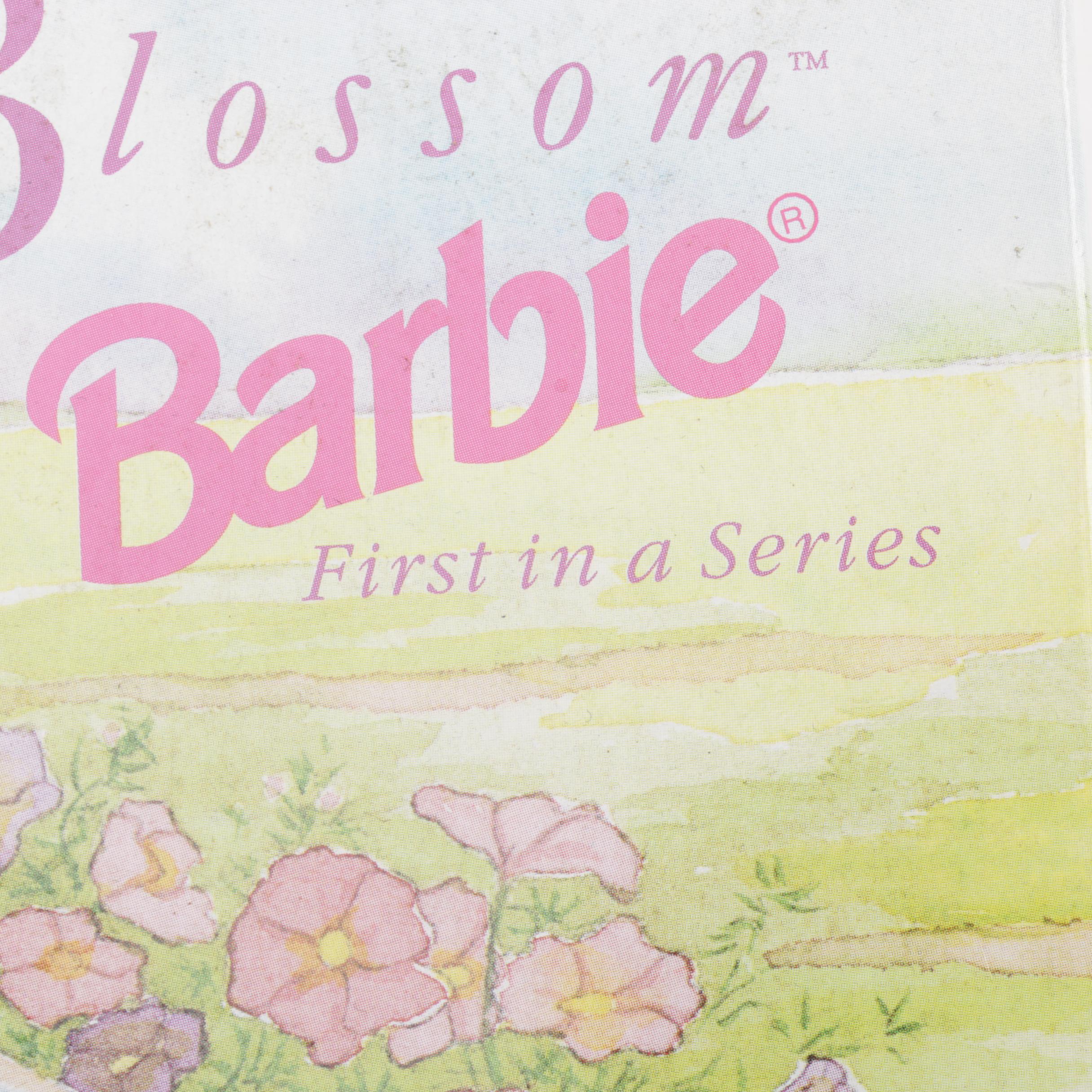 Variety Fashion Barbie Dolls