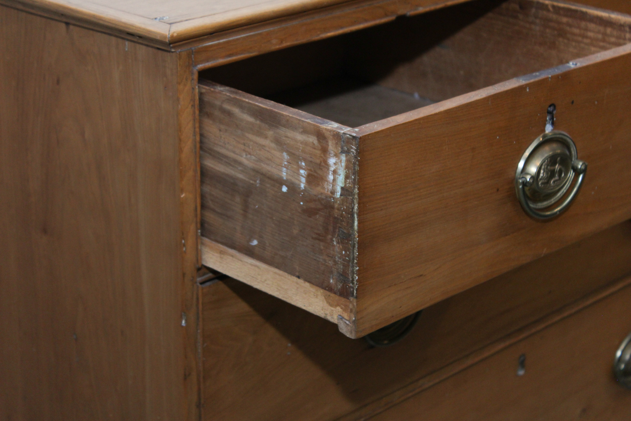 Antique Federal Style Birch Chest of Drawers